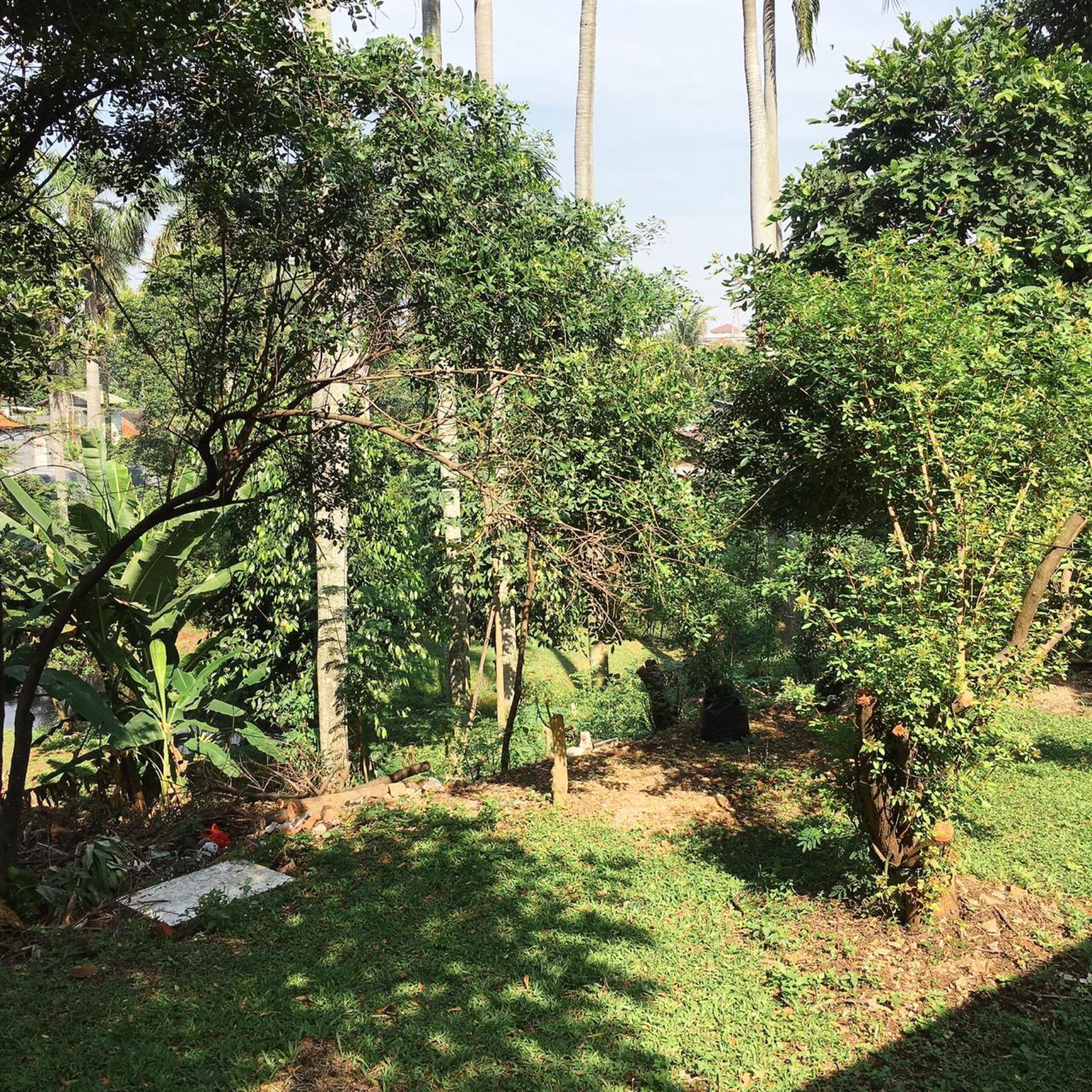 Kavling Murah Bonus Rumah  sangat cocok untuk investasi atau Usaha Lokasi di Ciputat Tangsel