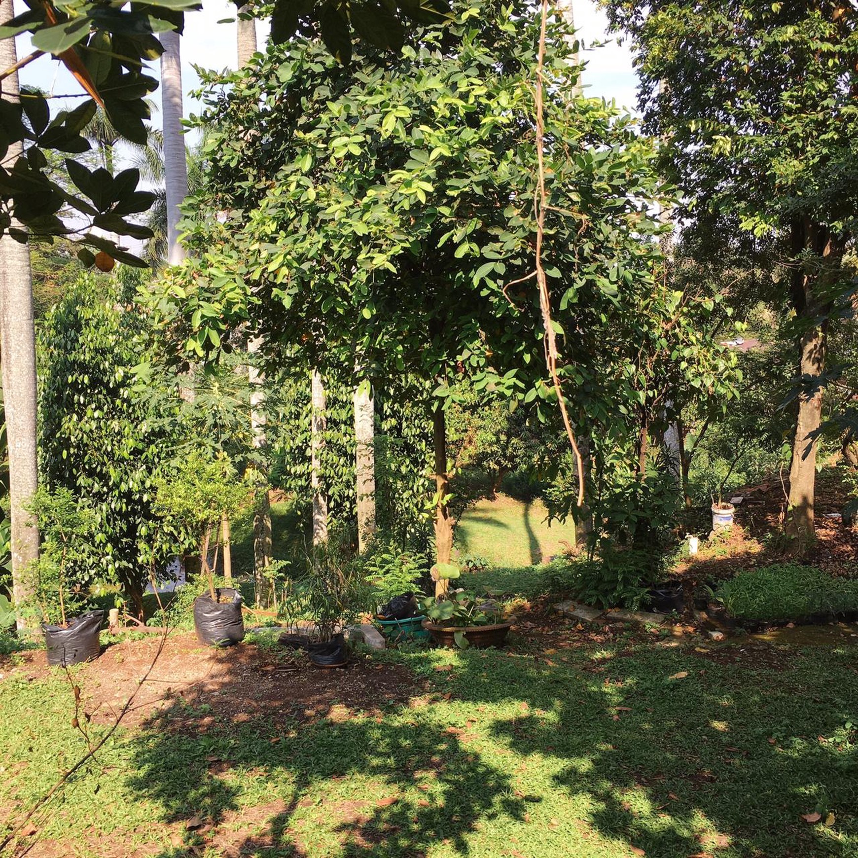 Kavling Murah Bonus Rumah  sangat cocok untuk investasi atau Usaha Lokasi di Ciputat Tangsel