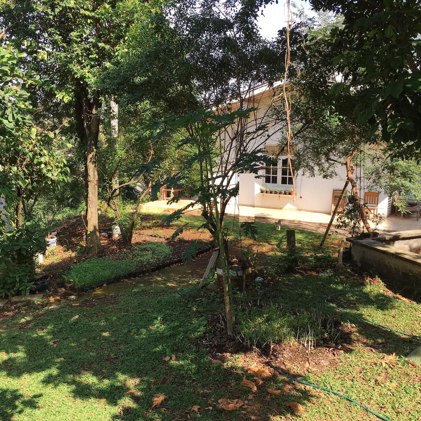 Kavling Murah Bonus Rumah  sangat cocok untuk investasi atau Usaha Lokasi di Ciputat Tangsel