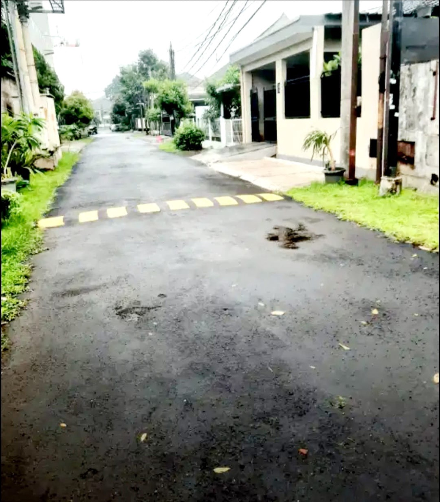 Rumah Minimalis 1 Lantai Ada Taman Belakang di Bsd 