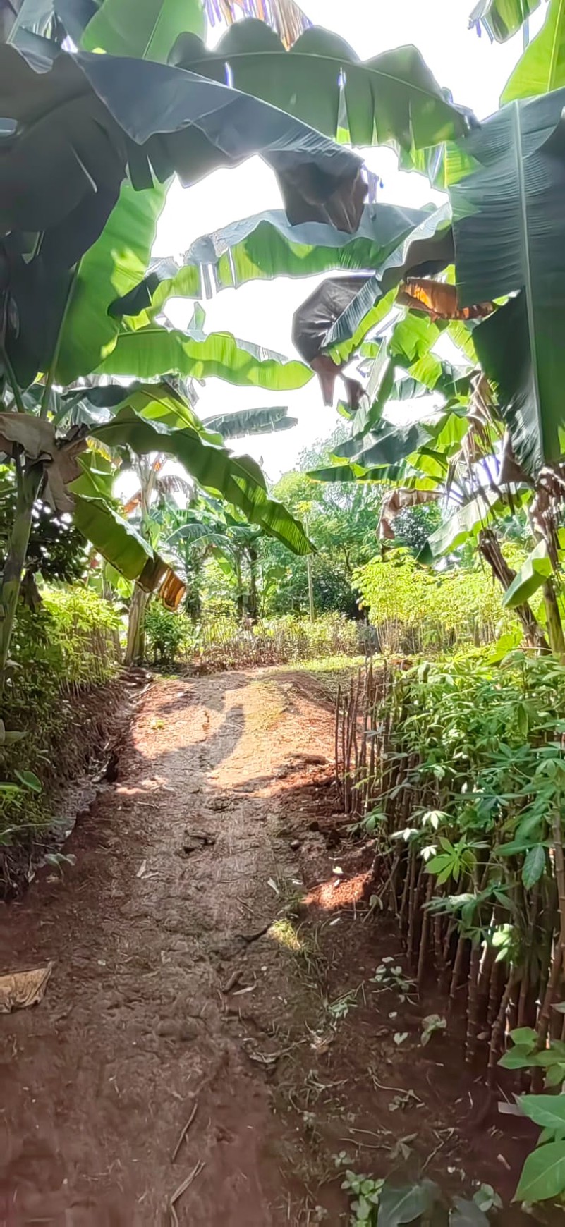 Di jual Lahan/Kavling di Jl. Raya Pengasinan  - Depok