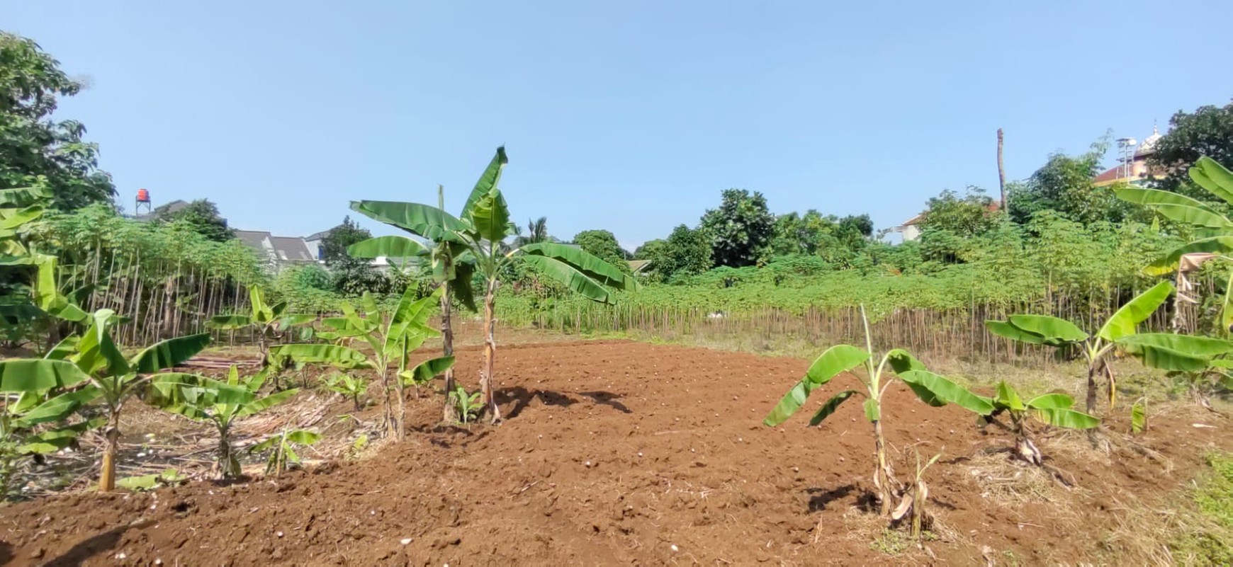 Di jual Lahan/Kavling di Jl. Raya Pengasinan  - Depok