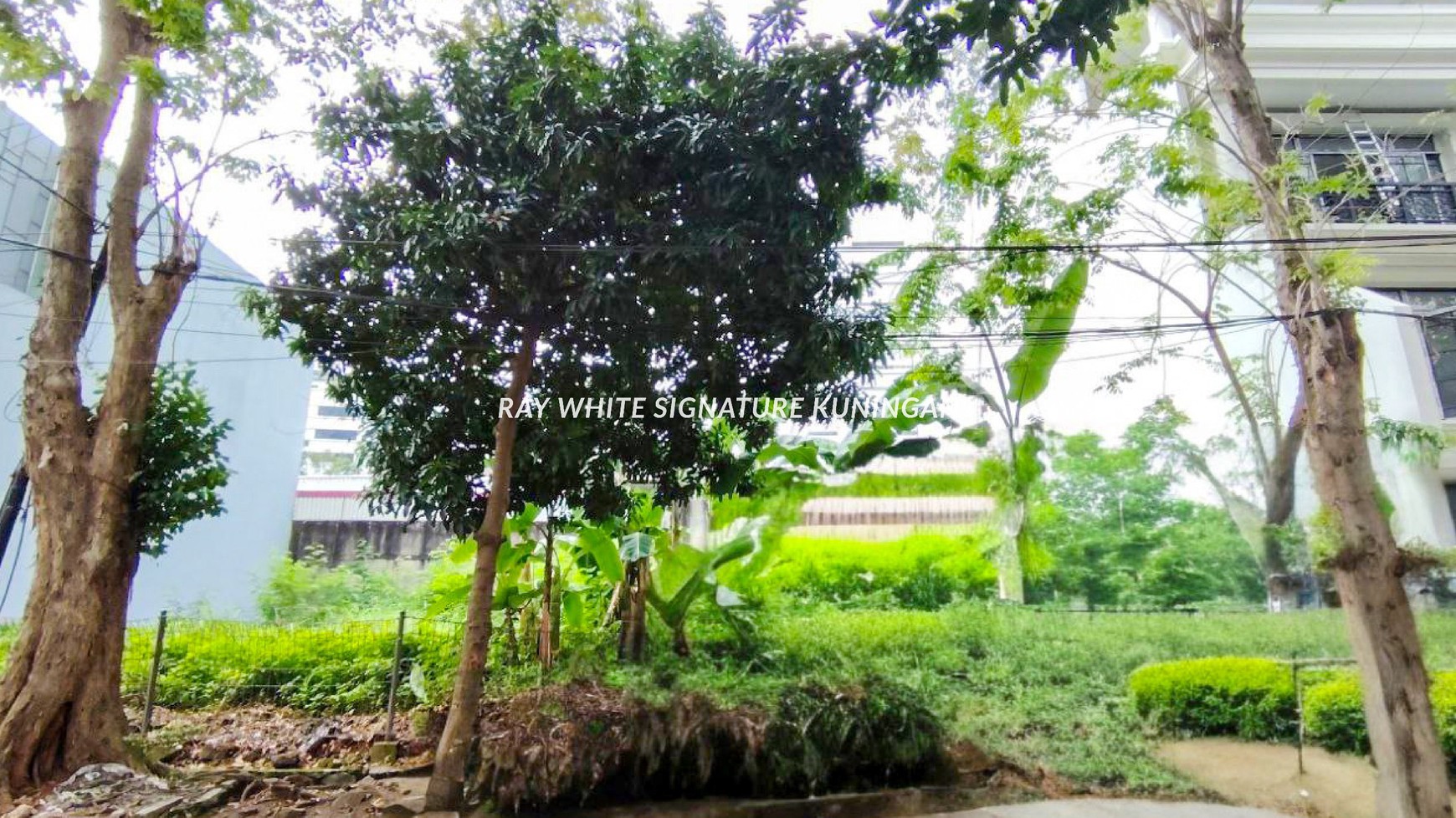 Tanah Kavling Cocok Untuk Hunian atau Office di Jl Kintamani Raya