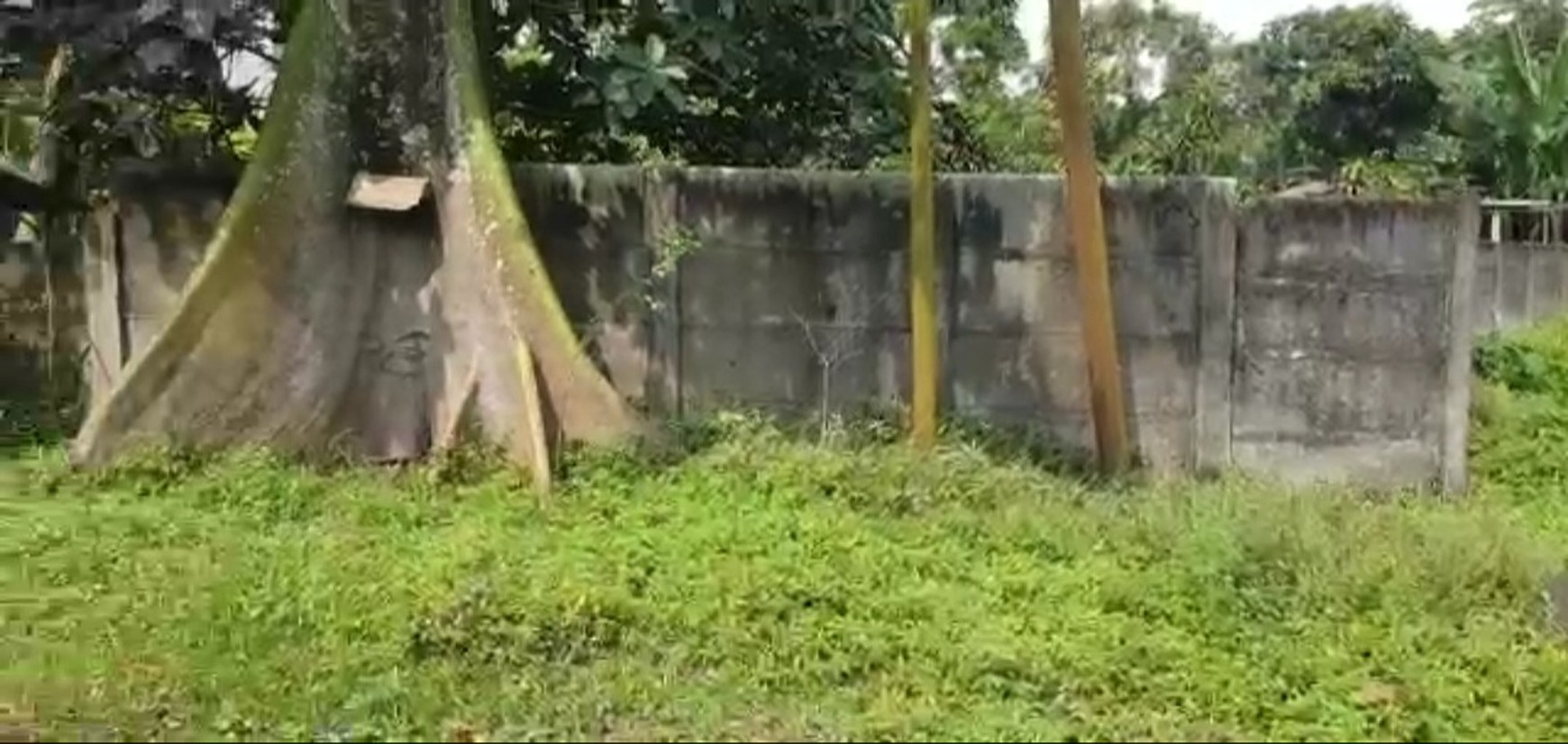 Kavling Raya Cileungsi, Jonggol