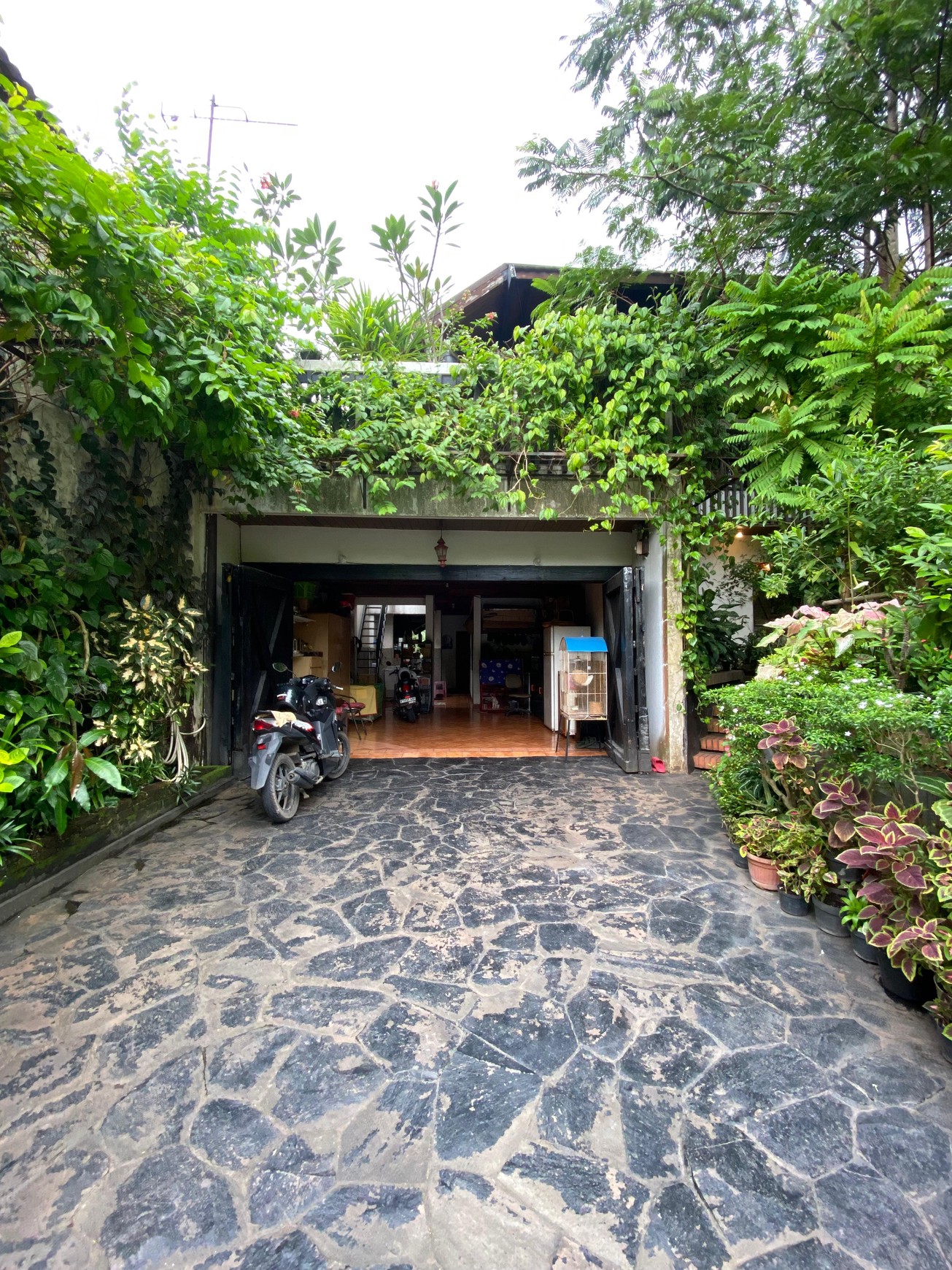 Rumah Nuansa Villa Semi Tropis 2 Lantai Halaman Luas Siap Huni