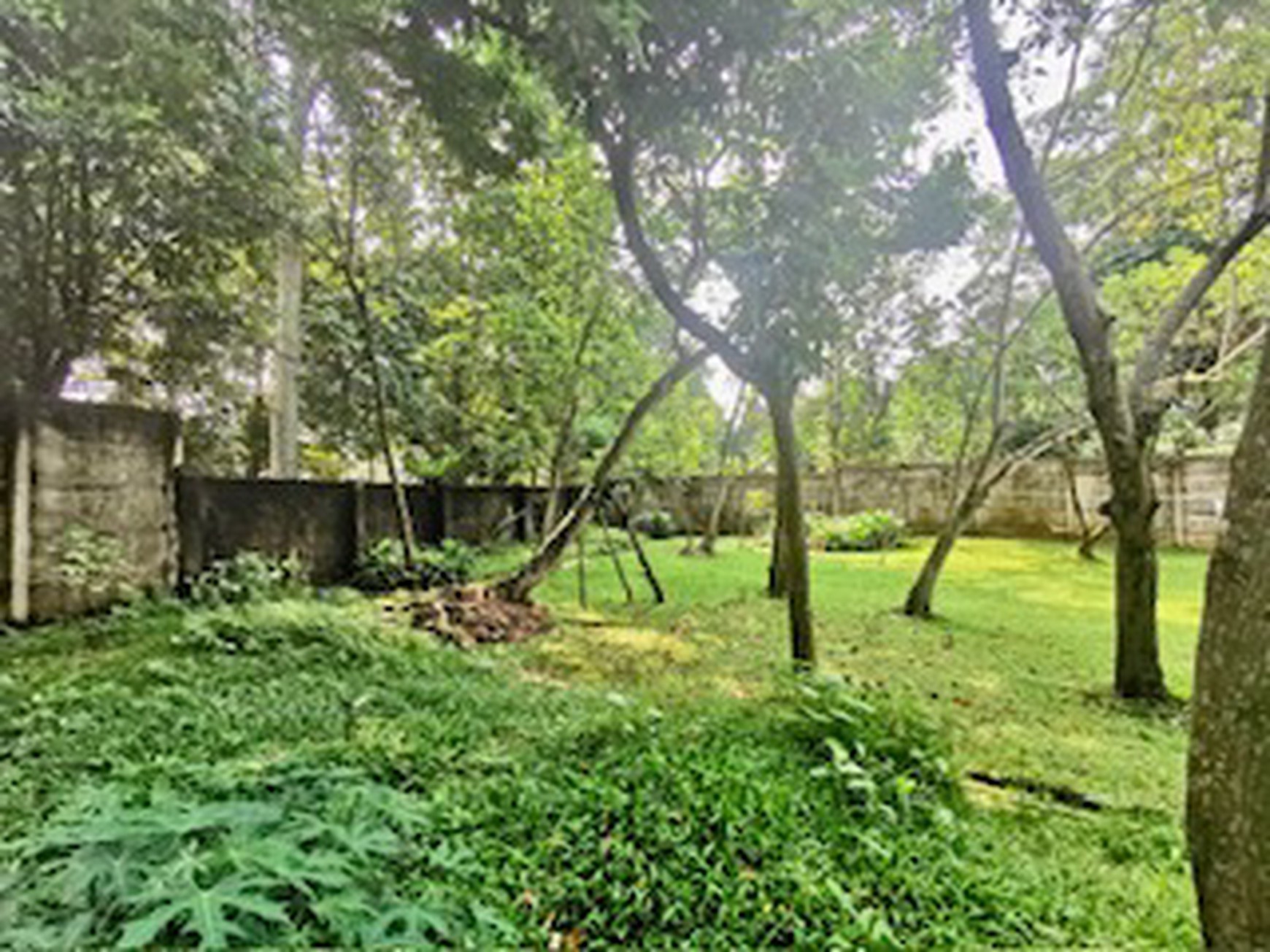 Rumah Jl Ahmad Yani, Sempur, Bogor Tengah Luas 5.790m2