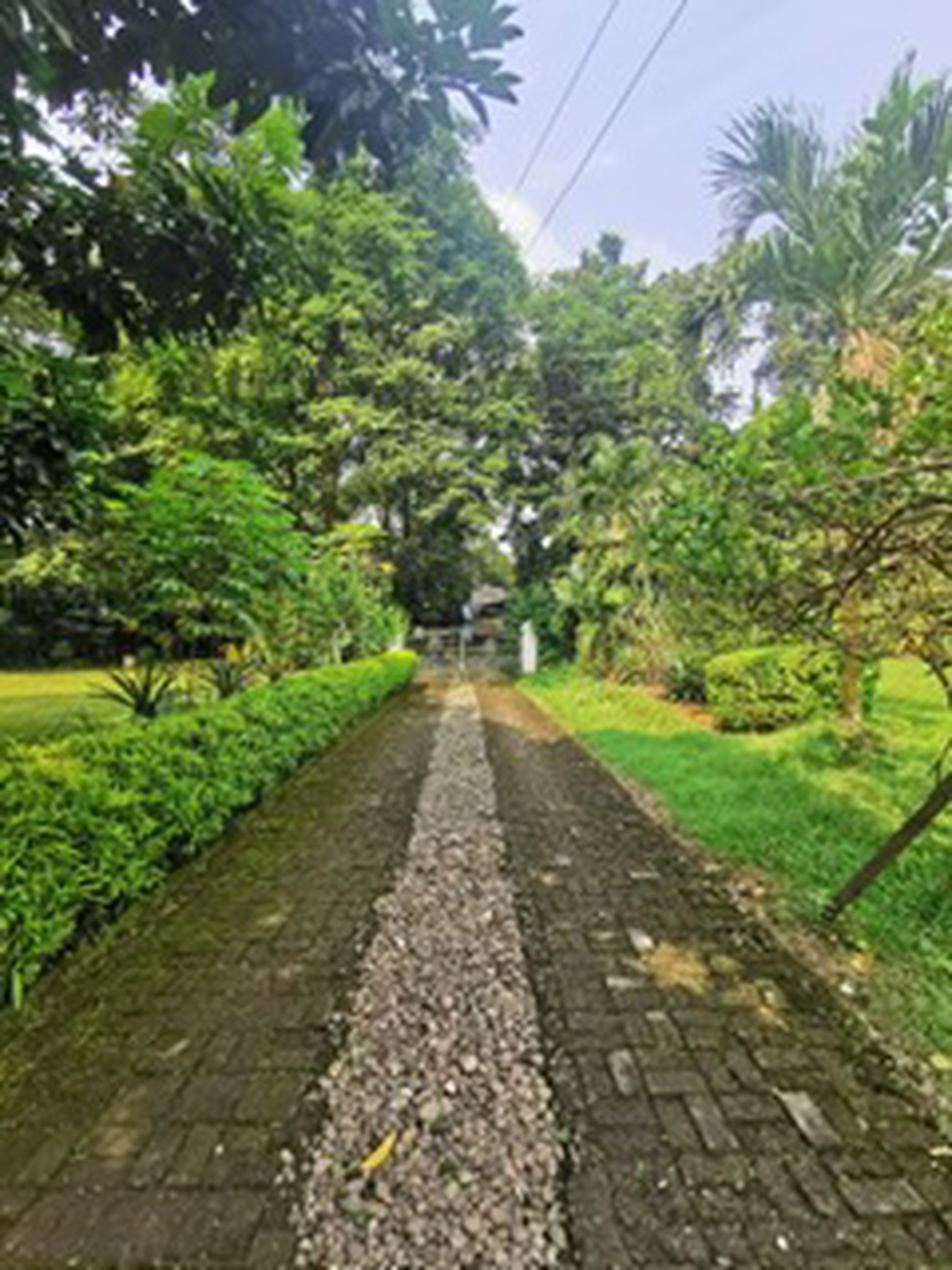 Rumah Jl Ahmad Yani, Sempur, Bogor Tengah Luas 5.790m2