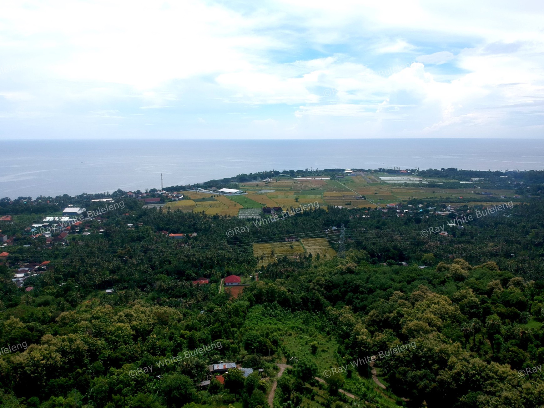 Prime Land Surrounded by Natural Charm