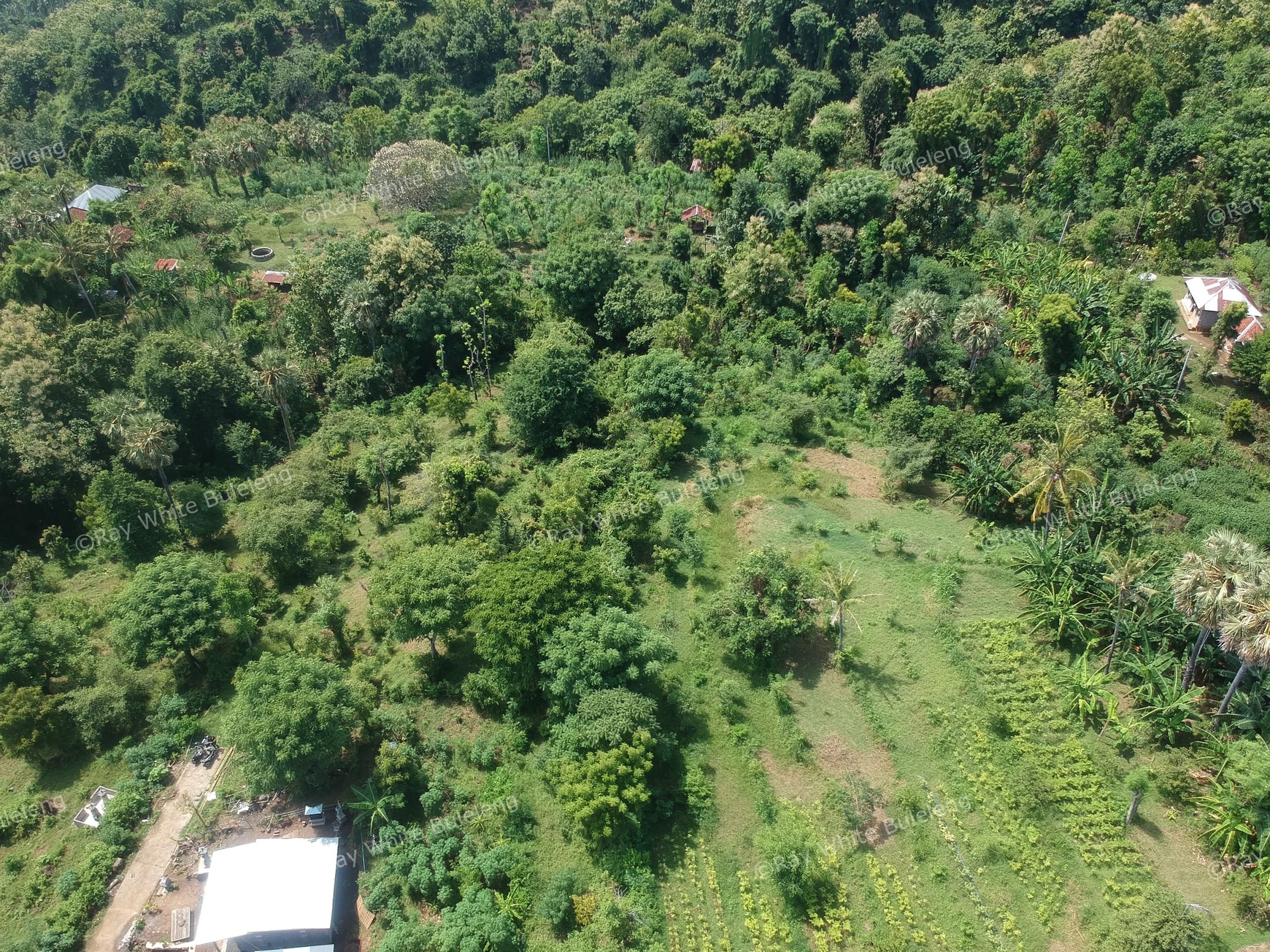 Prime Land Surrounded by Natural Charm