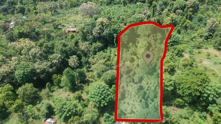 Prime Land Surrounded by Natural Charm