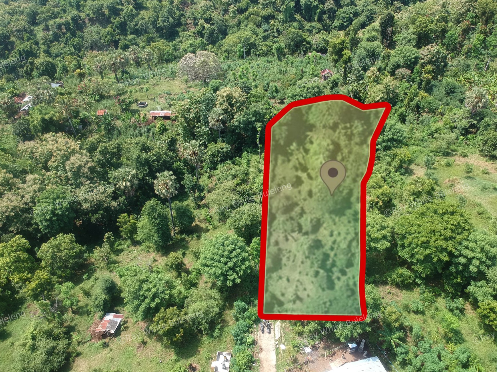 Prime Land Surrounded by Natural Charm