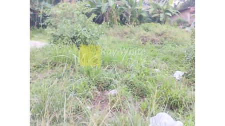 Jual tanah jatimiuyo karang anyar Lampung Selatan Luas 2355 m2 jalan utama