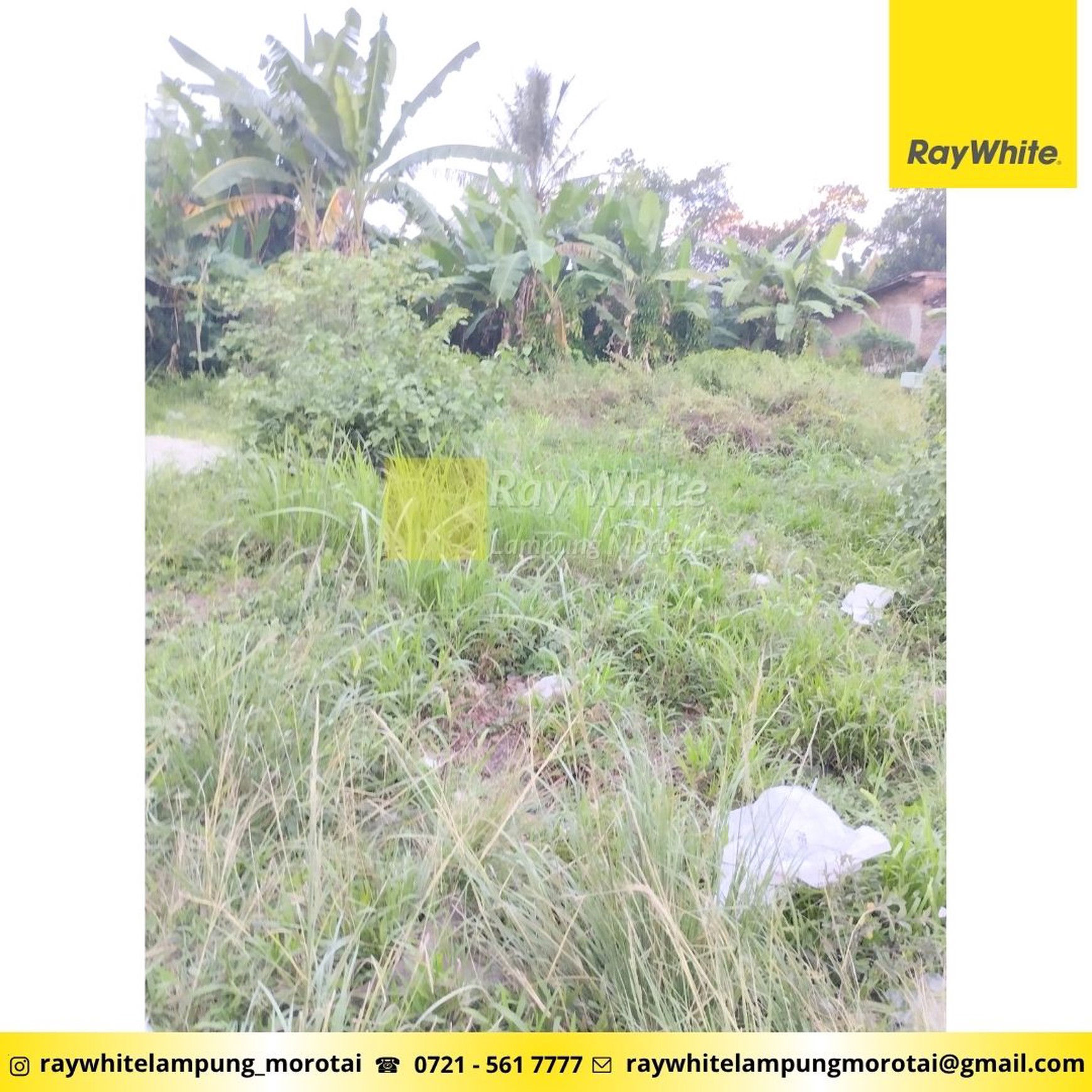 Jual tanah jatimiuyo karang anyar Lampung Selatan Luas 2355 m2 jalan utama