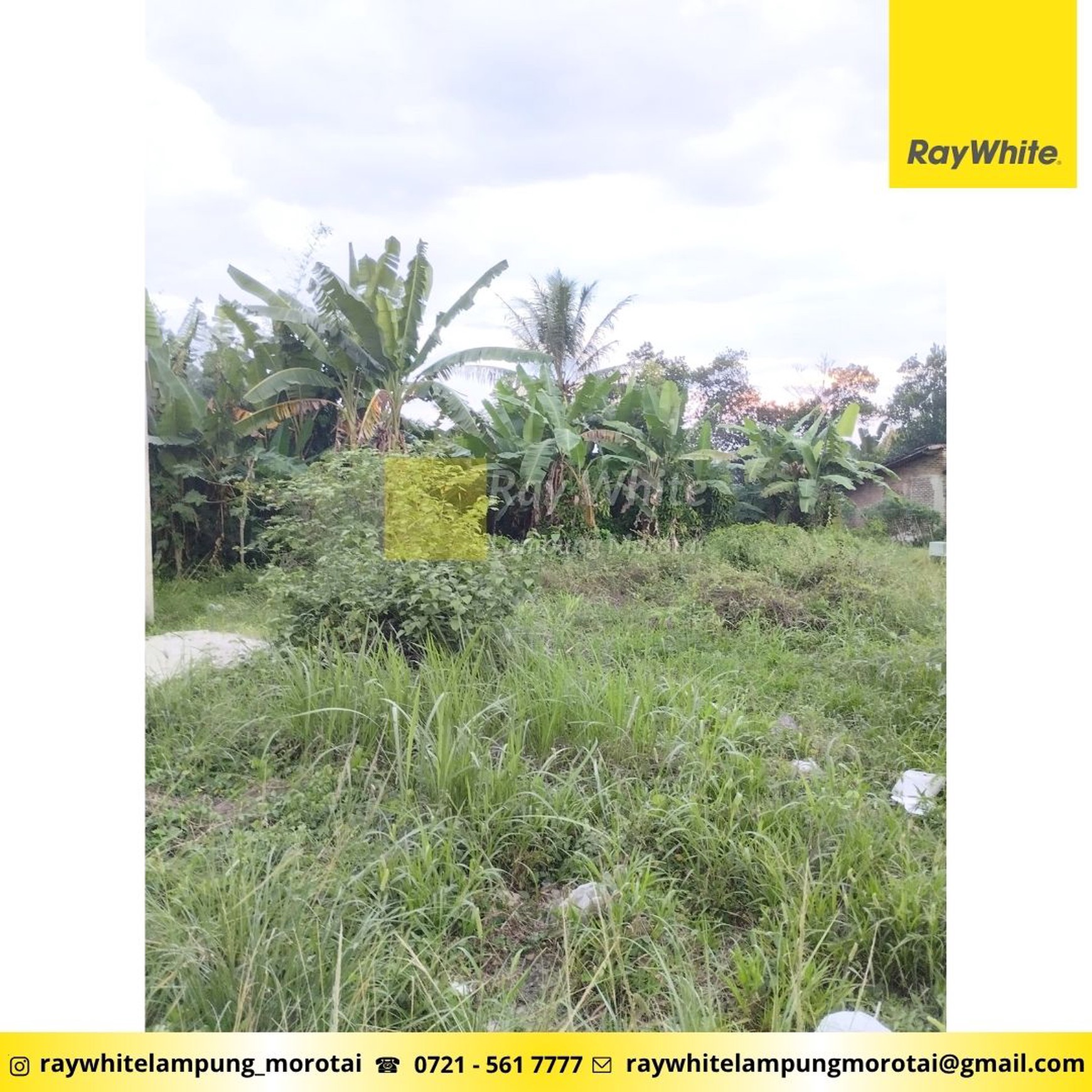 Jual tanah jatimiuyo karang anyar Lampung Selatan Luas 2355 m2 jalan utama