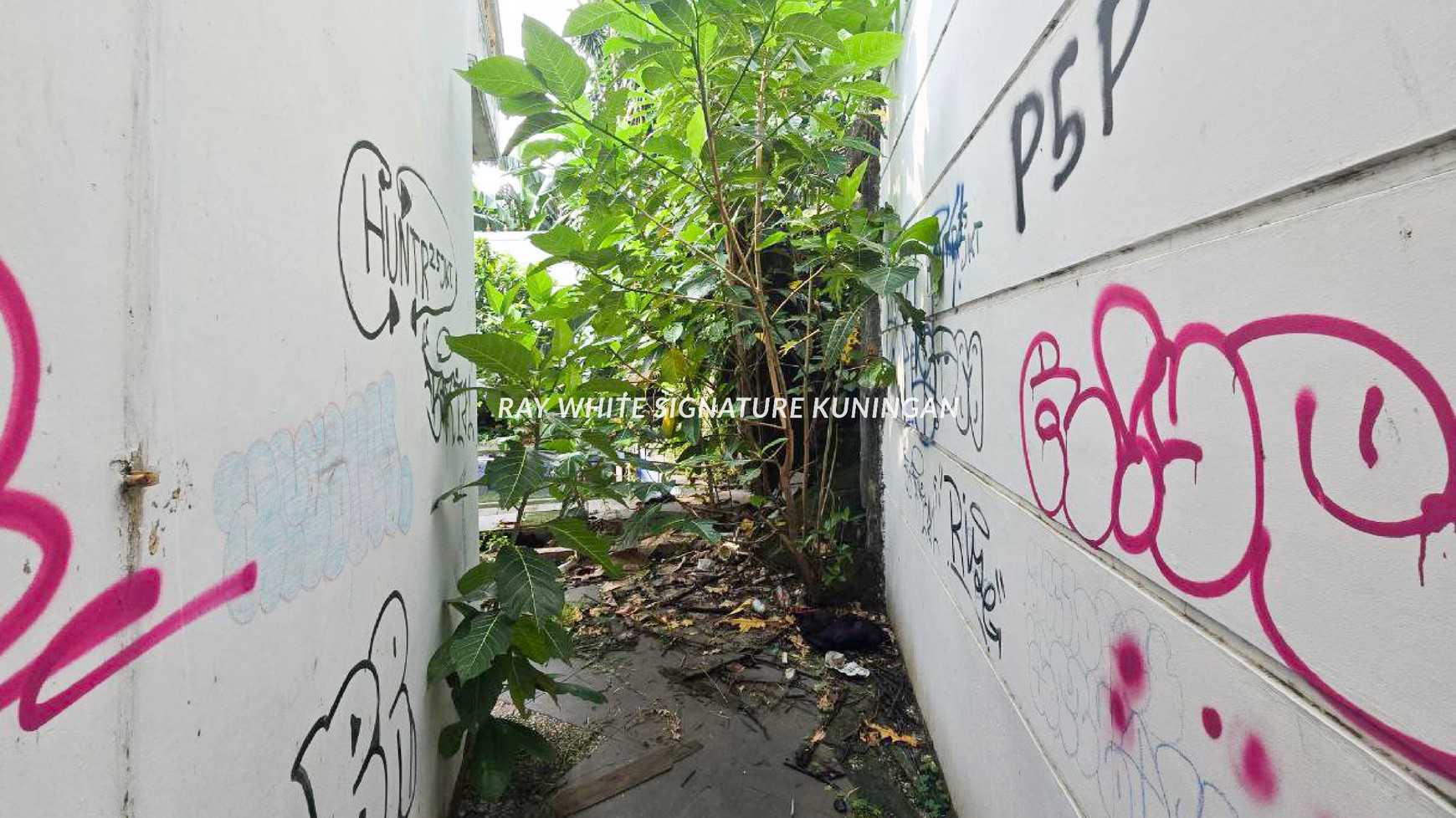Rumah Tua Hitung Tanah di Jl Saraswati Buntu Kebayoran Baru