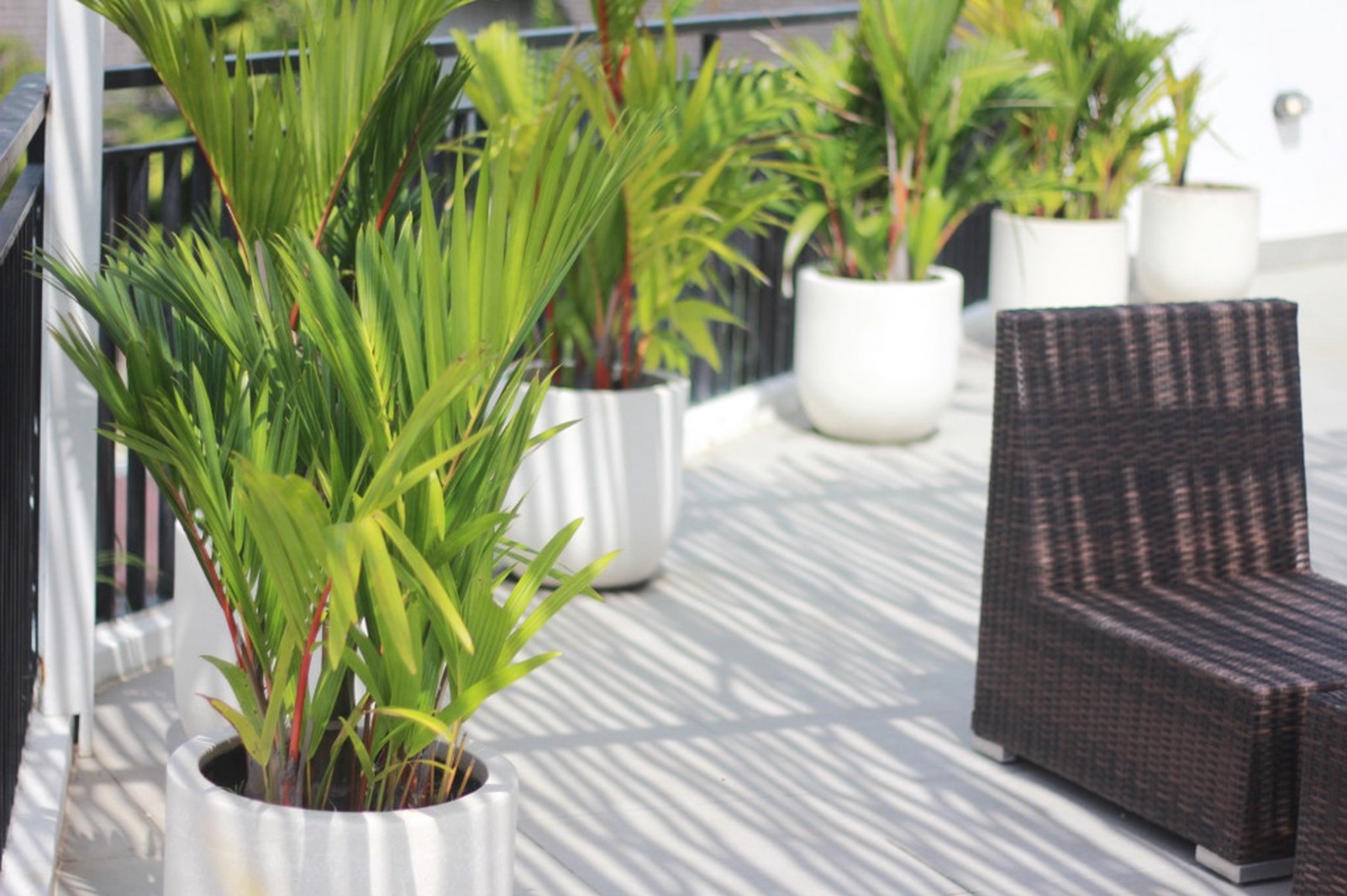 Leasehold - Contemporary 2-Bedroom Villa in Umalas with Rooftop Pool and Scenic Views