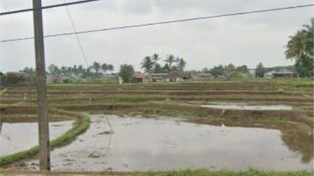 Dijual Tanah Sawah Produktif Siap Bangun di Baros Cianjur