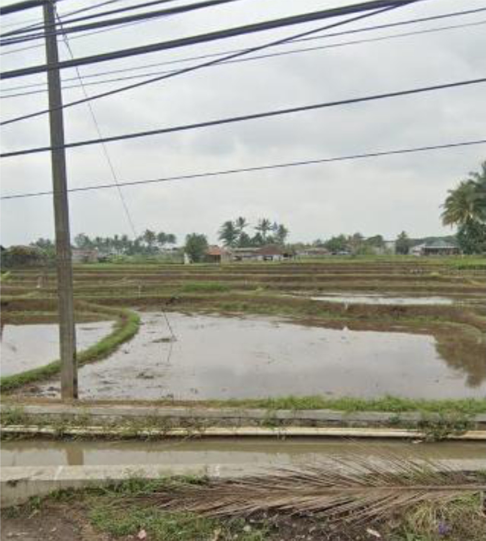 Dijual Tanah Sawah Produktif Siap Bangun di Baros Cianjur
