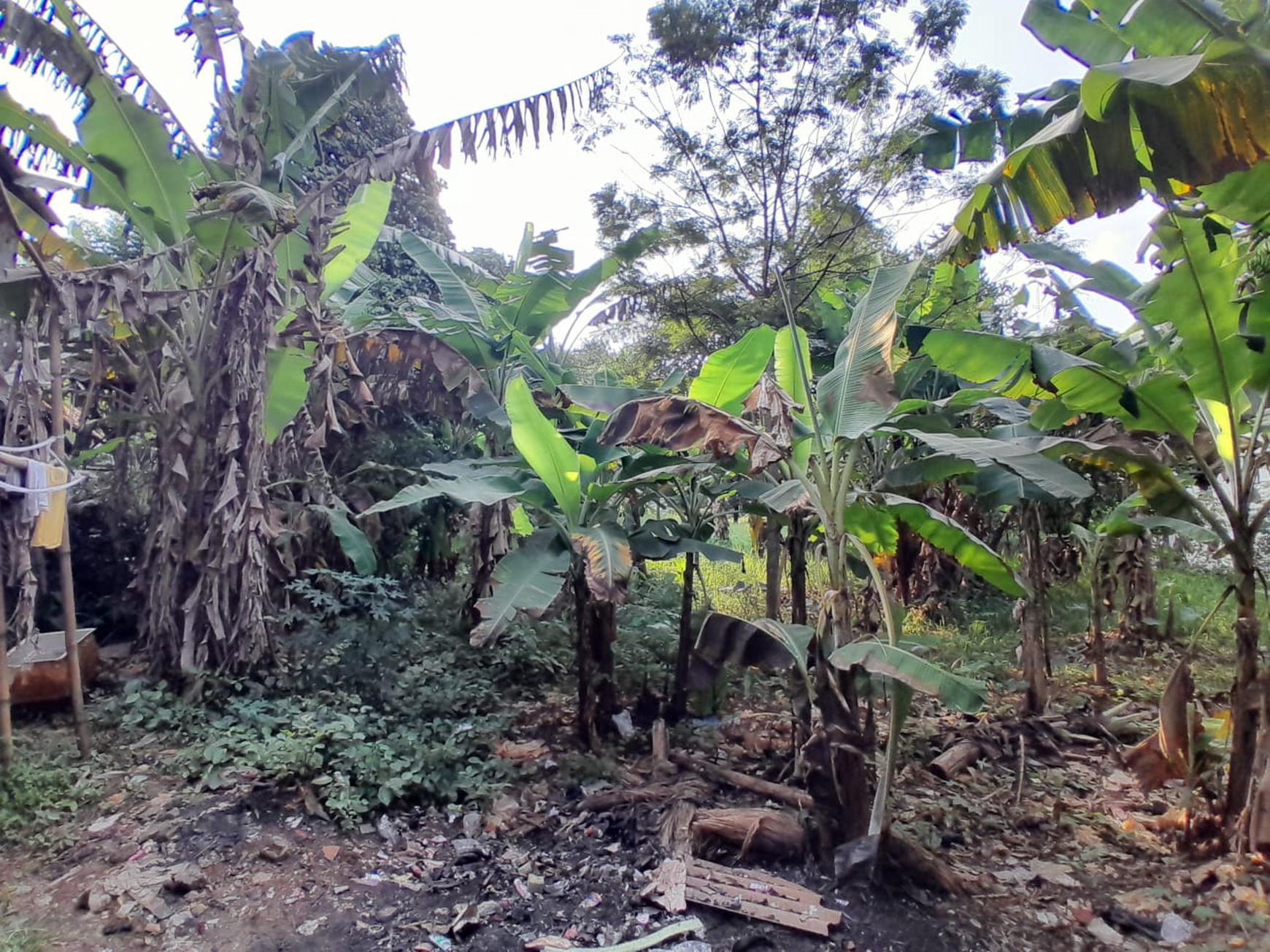 Tanah Kavling Strategis Bersebelahan dengan CBD Citra Grand Cibubur Sertifikat SHM