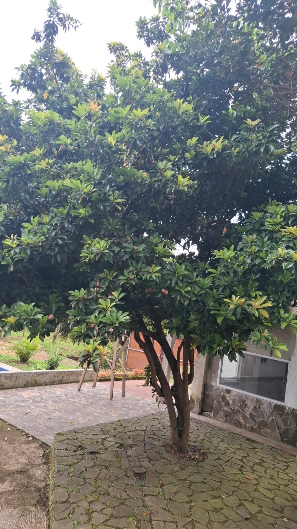 Puncak Cianjur desa talaga villa luas 1810 view pegunungan