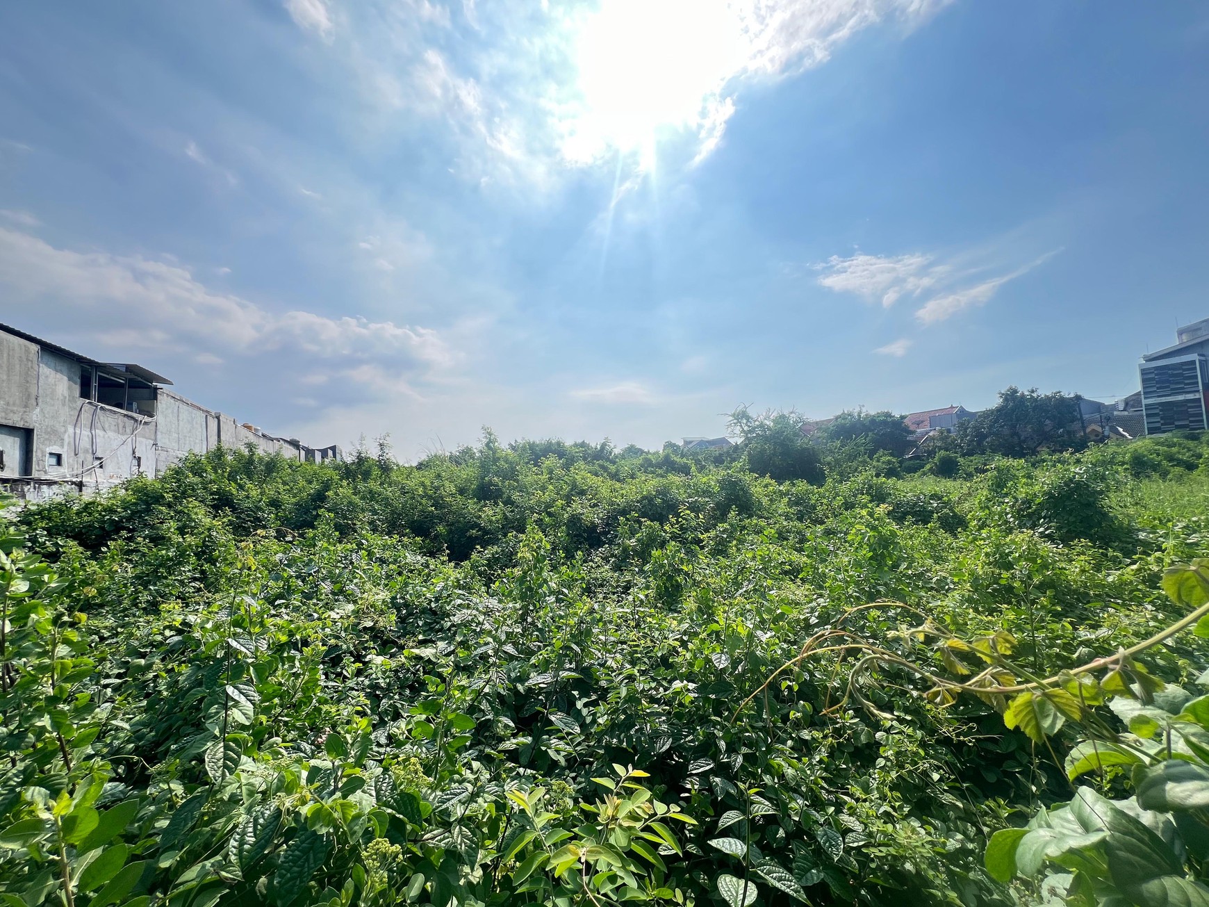 Dijual Cepat Tanah di Ketintang Baru Selatan, Surabaya...lokasi strategis