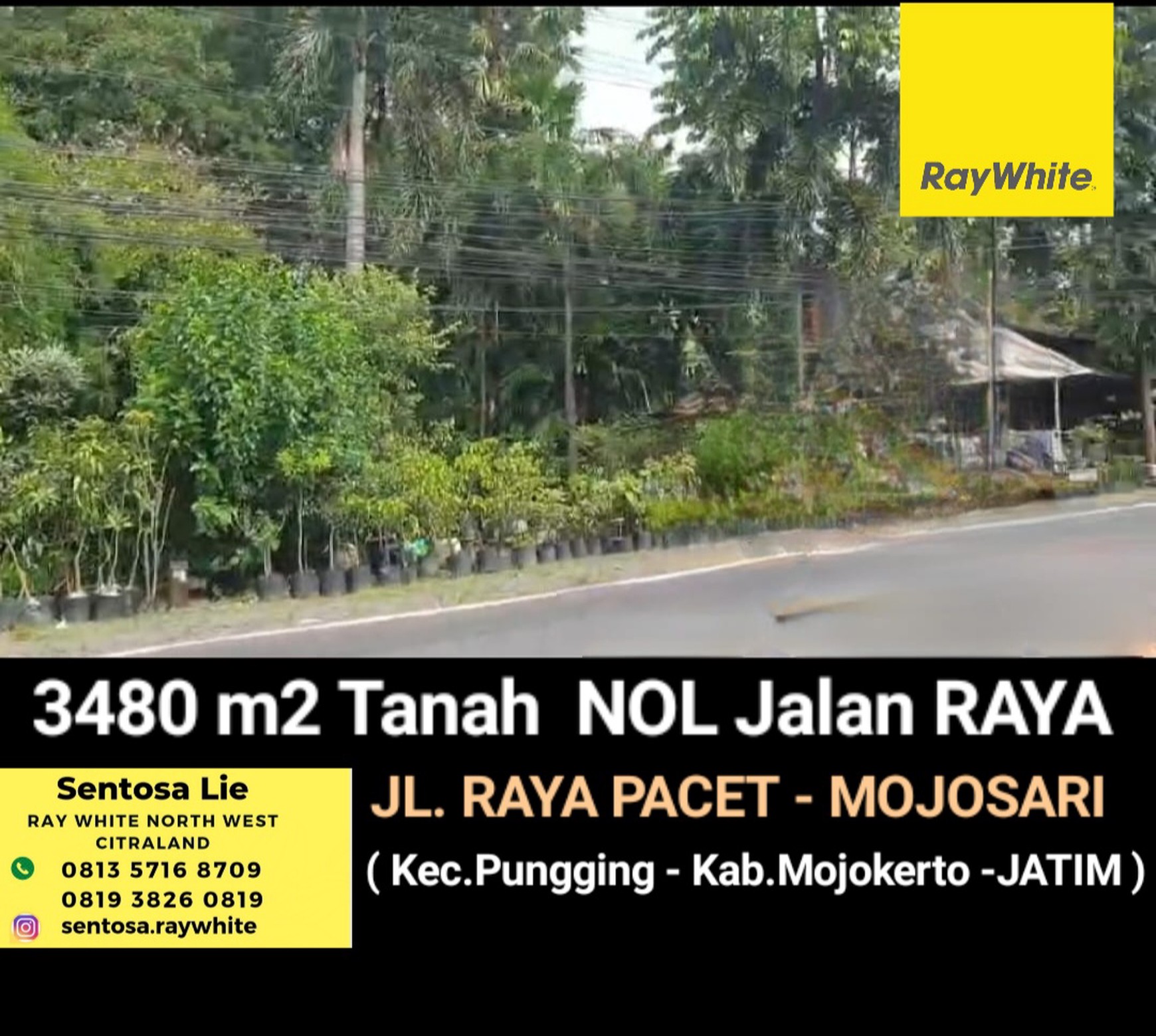 Murah Dijual 3480 M2 Tanah Industri Nol Jalan Raya Pacet - Mojosari - Jawa Timur Cocok Buat Segala Usaha - Surat Shm
