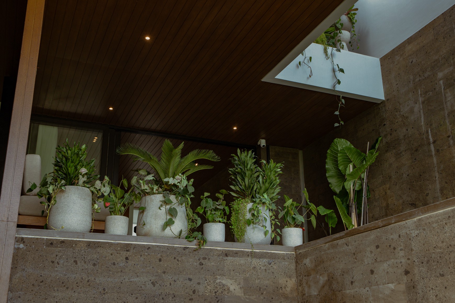 Rare FREEHOLD Opportunity! Modern & Smartly Designed Villas in Canggu, Bali