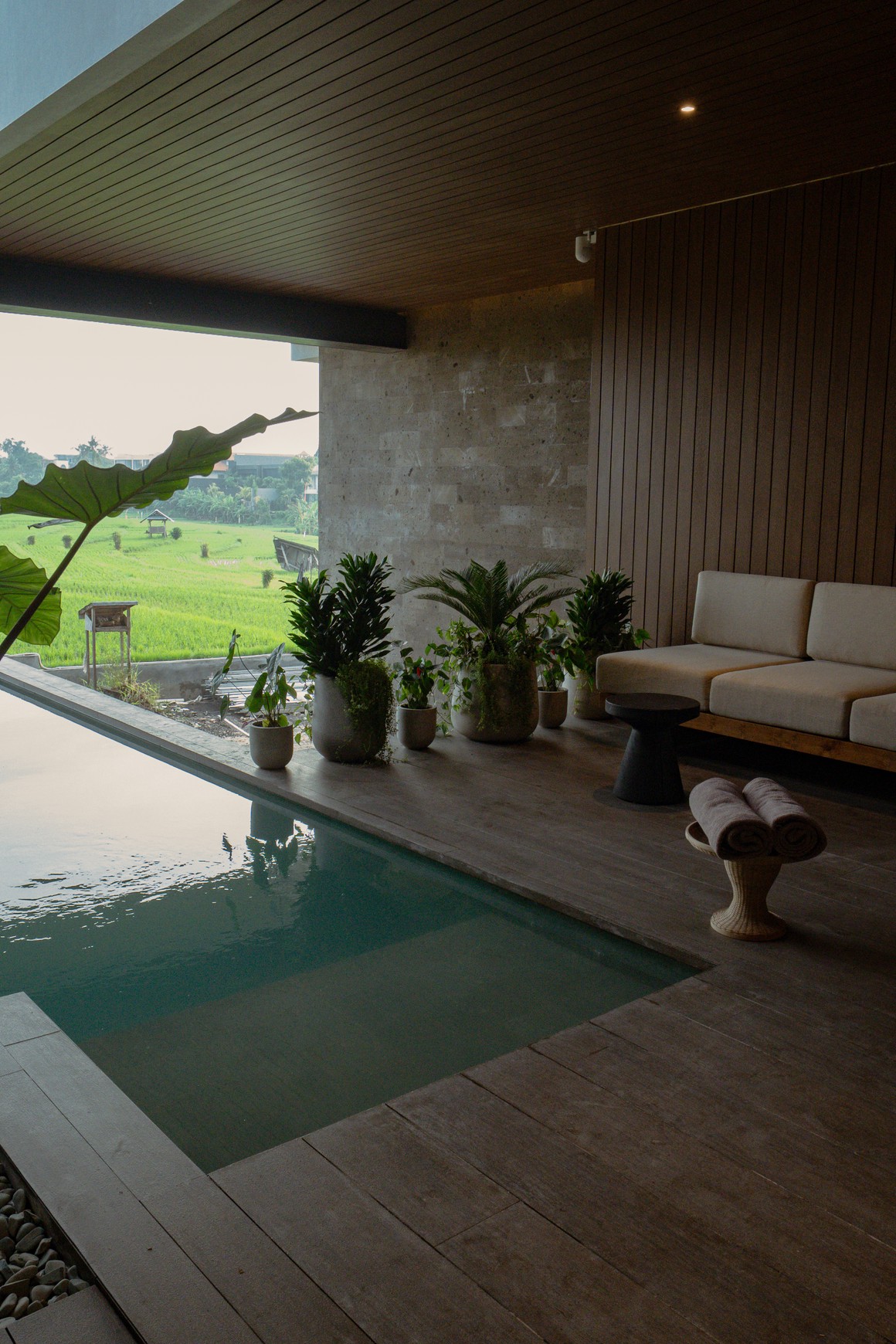 Rare FREEHOLD Opportunity! Modern & Smartly Designed Villas in Canggu, Bali