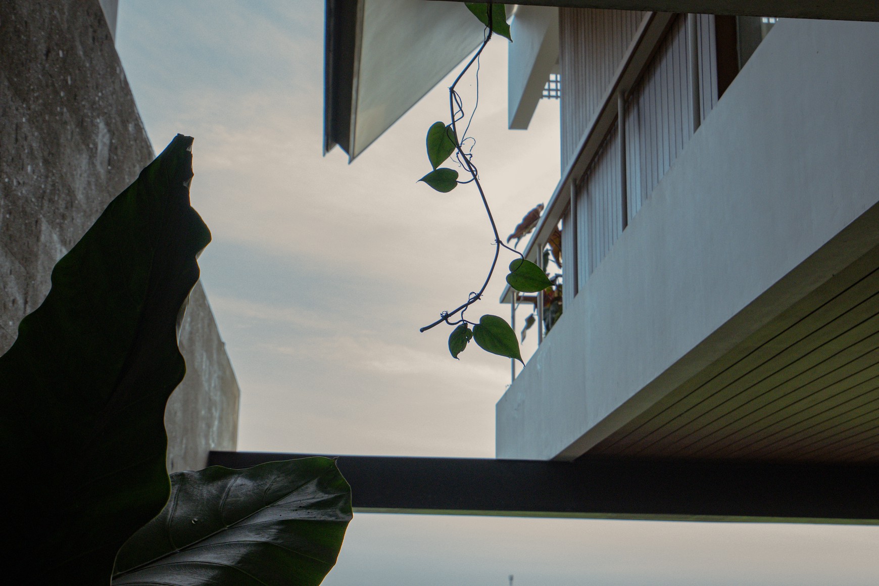Rare FREEHOLD Opportunity! Modern & Smartly Designed Villas in Canggu, Bali