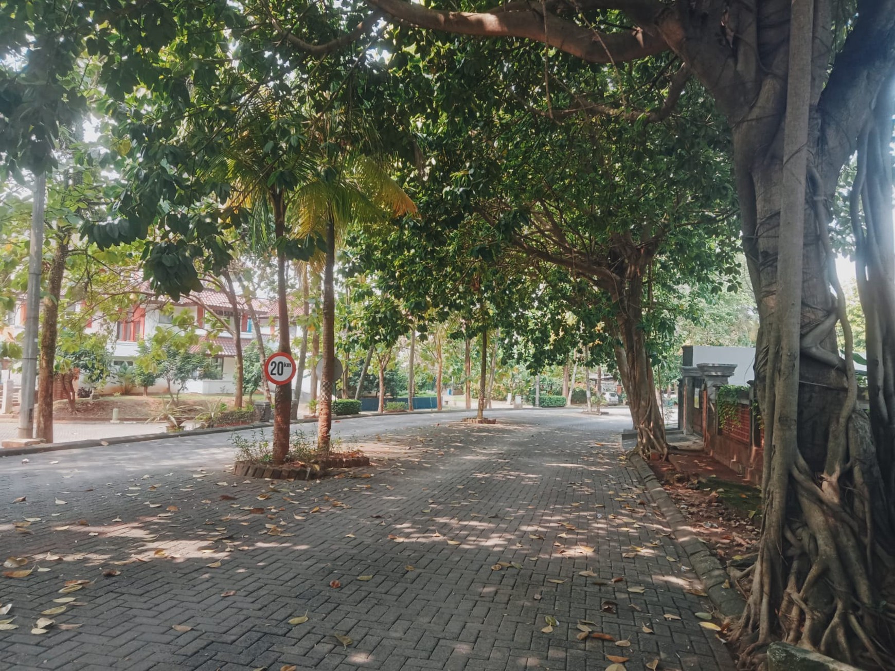 Rumah Bagus Di Bali View Kintamani, Cirendeu Jakarta Selatan