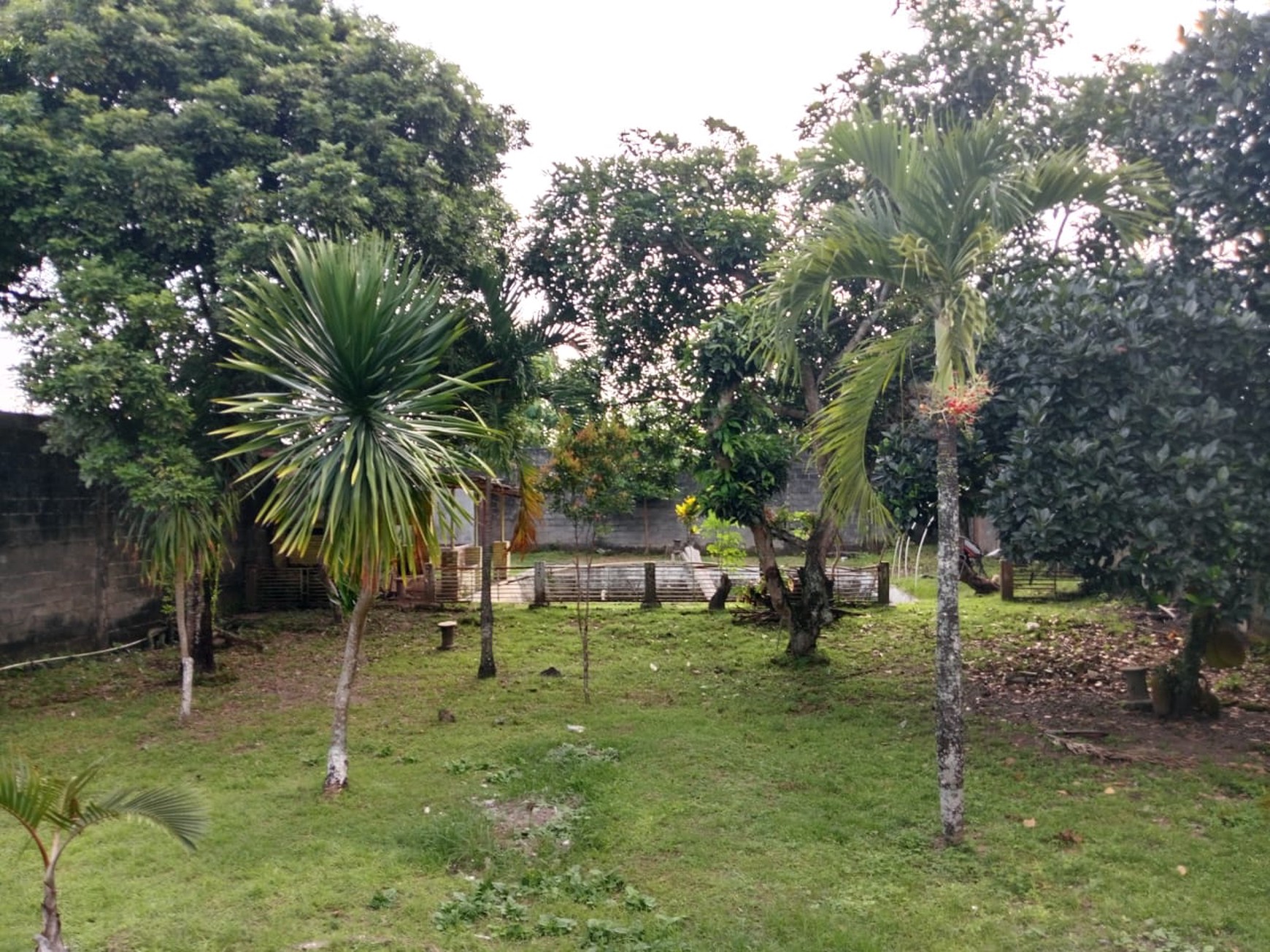 Rumah Tinggal Cocok Untuk Keluarga Besar dan Investasi Lokasi Strategis di Mlati Sleman 