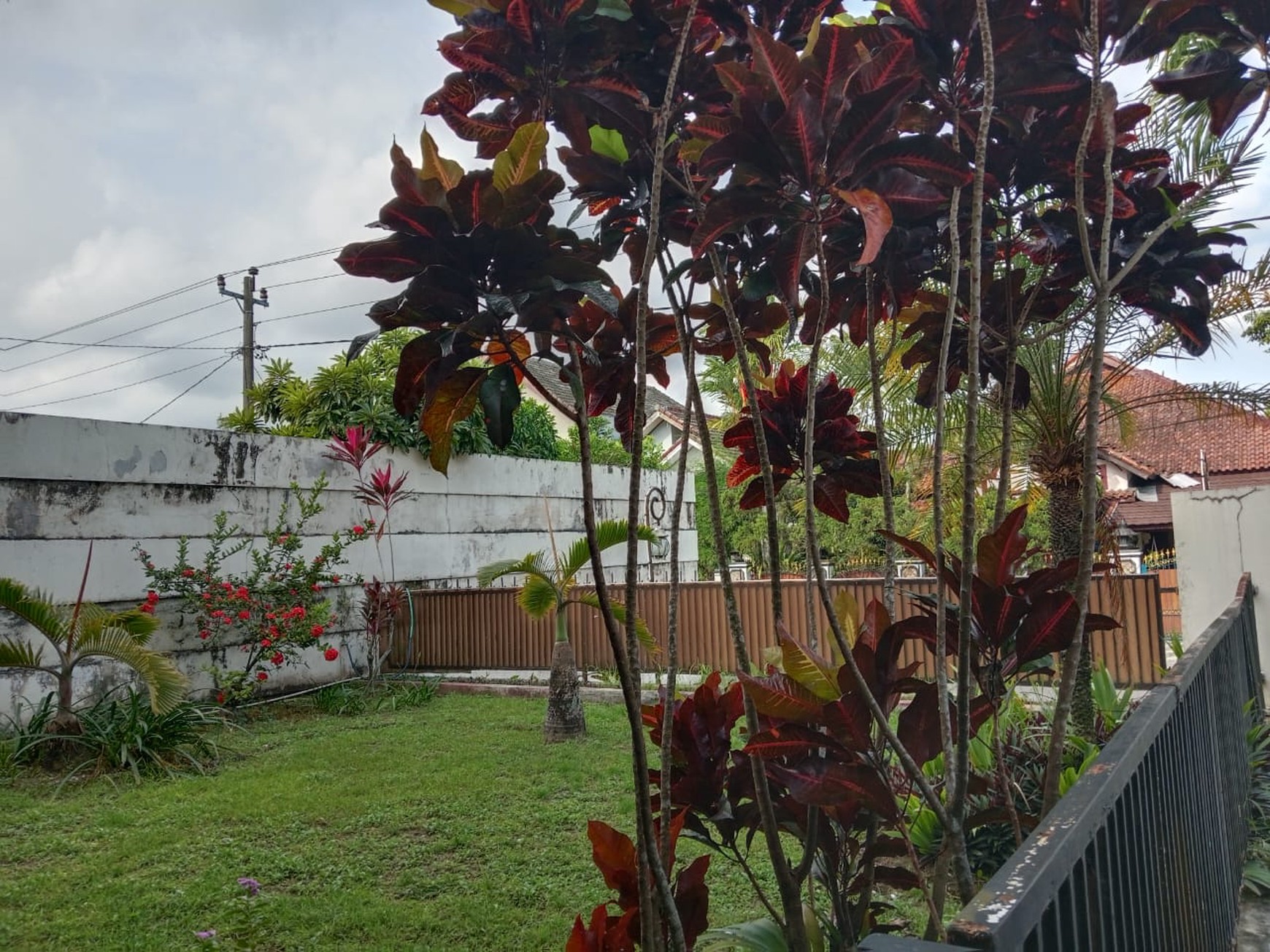 Rumah Tinggal Cocok Untuk Keluarga Besar dan Investasi Lokasi Strategis di Mlati Sleman 