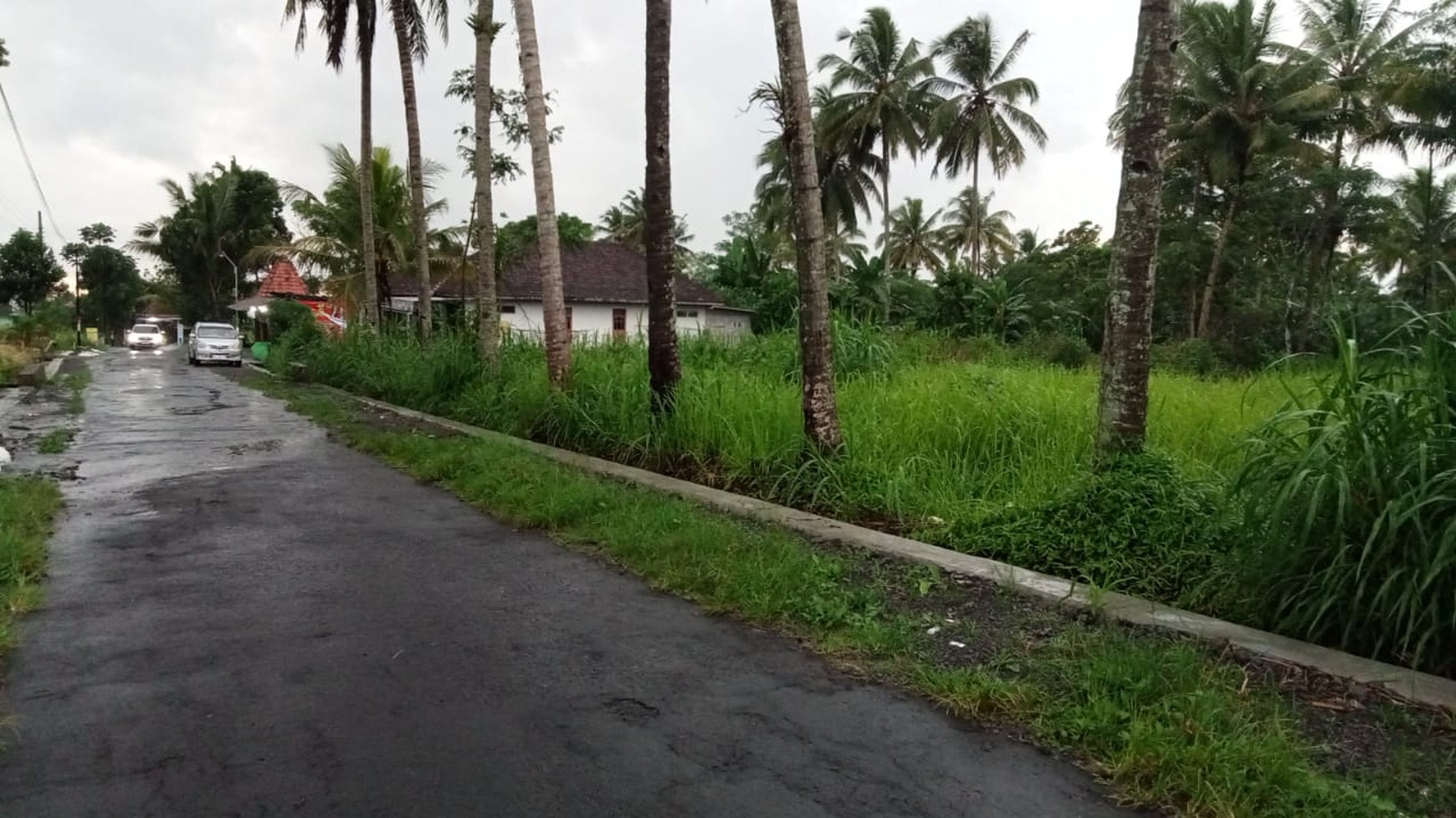 Tanah Sawah Luas 2.143 Lokasi Di Utara Jogja Daerah Pakem Sleman