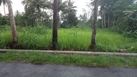 Tanah Sawah Luas 2.143 Lokasi Di Utara Jogja Daerah Pakem Sleman