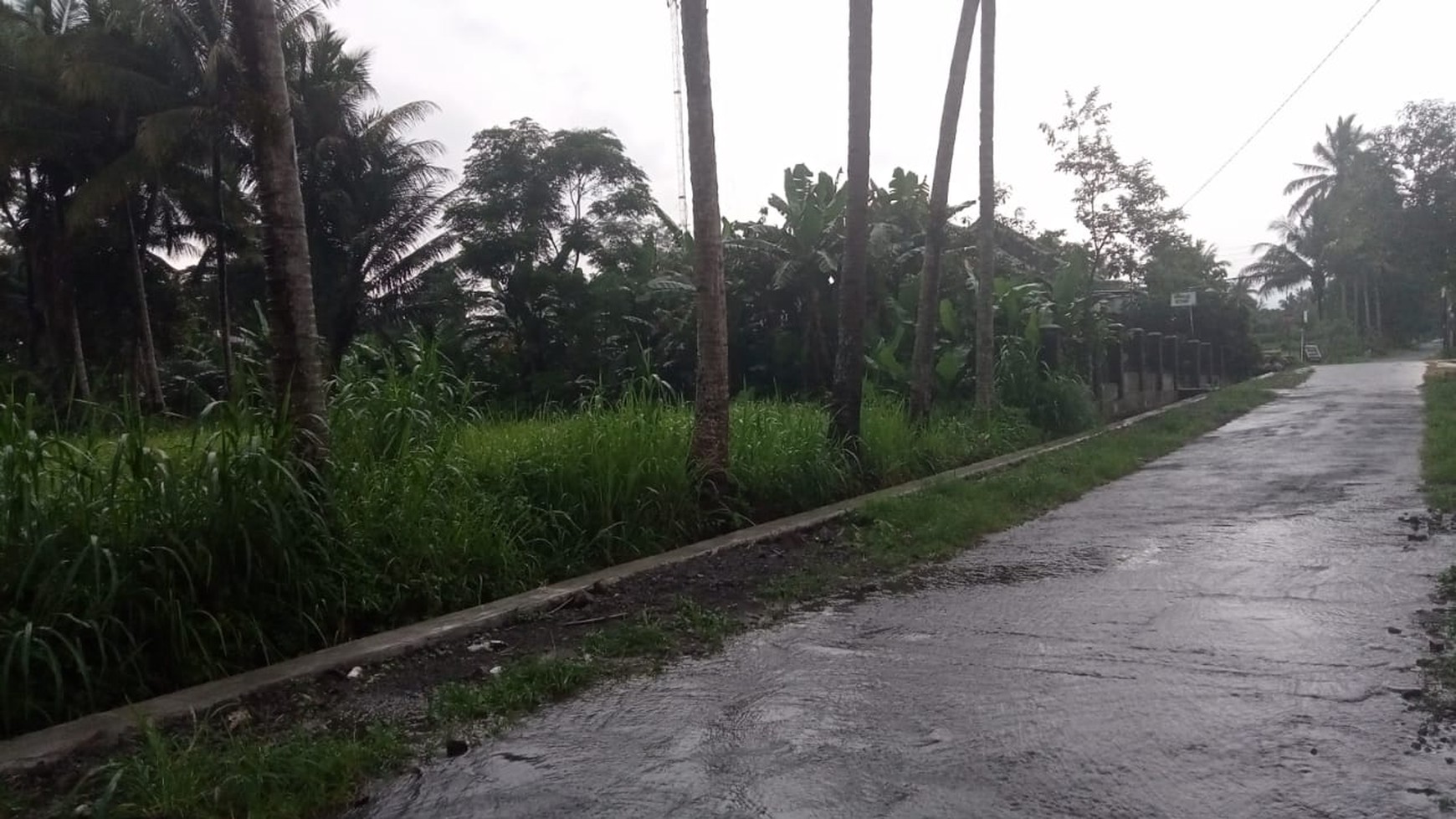 Tanah Sawah Luas 2.143 Lokasi Di Utara Jogja Daerah Pakem Sleman