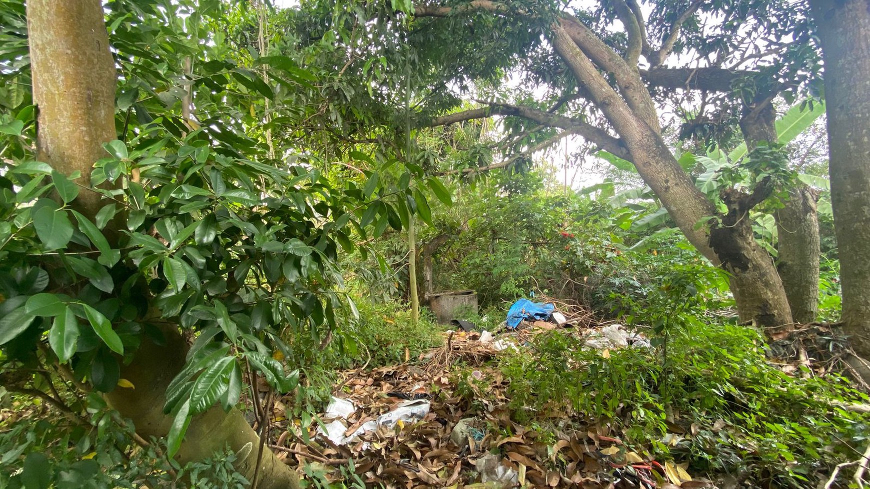 Tanah Dan Gudang 600 Meter Persegi Lokasi Dekat Ringroad Selatan, Tirtonirmolo, Kasihan, Bantul