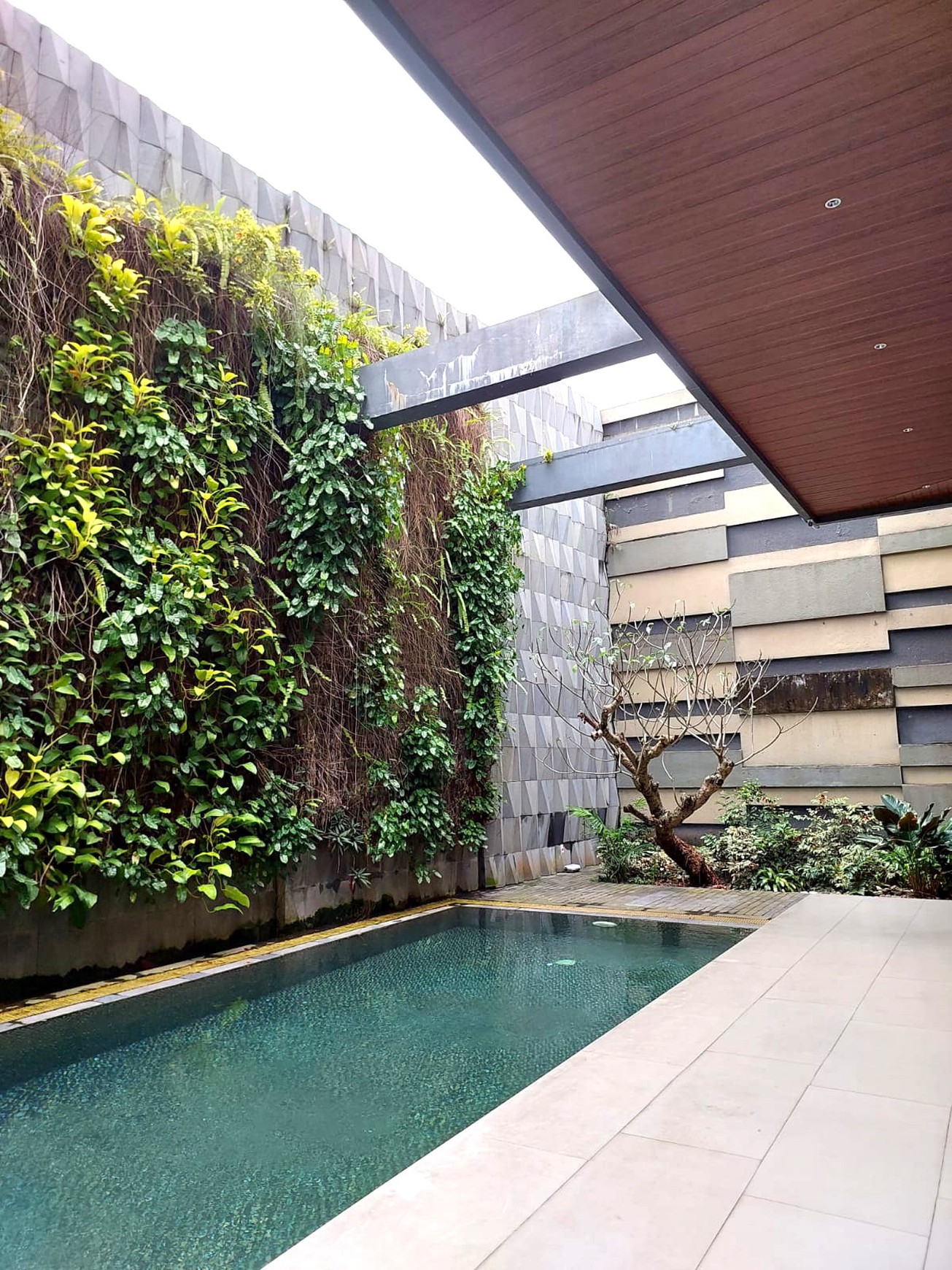 Rumah Mewah Dengan Kolam Renang & Rooftop Lokasi Dekat Kampus Sanata Dharma, Caturtunggal, Depok, Sleman