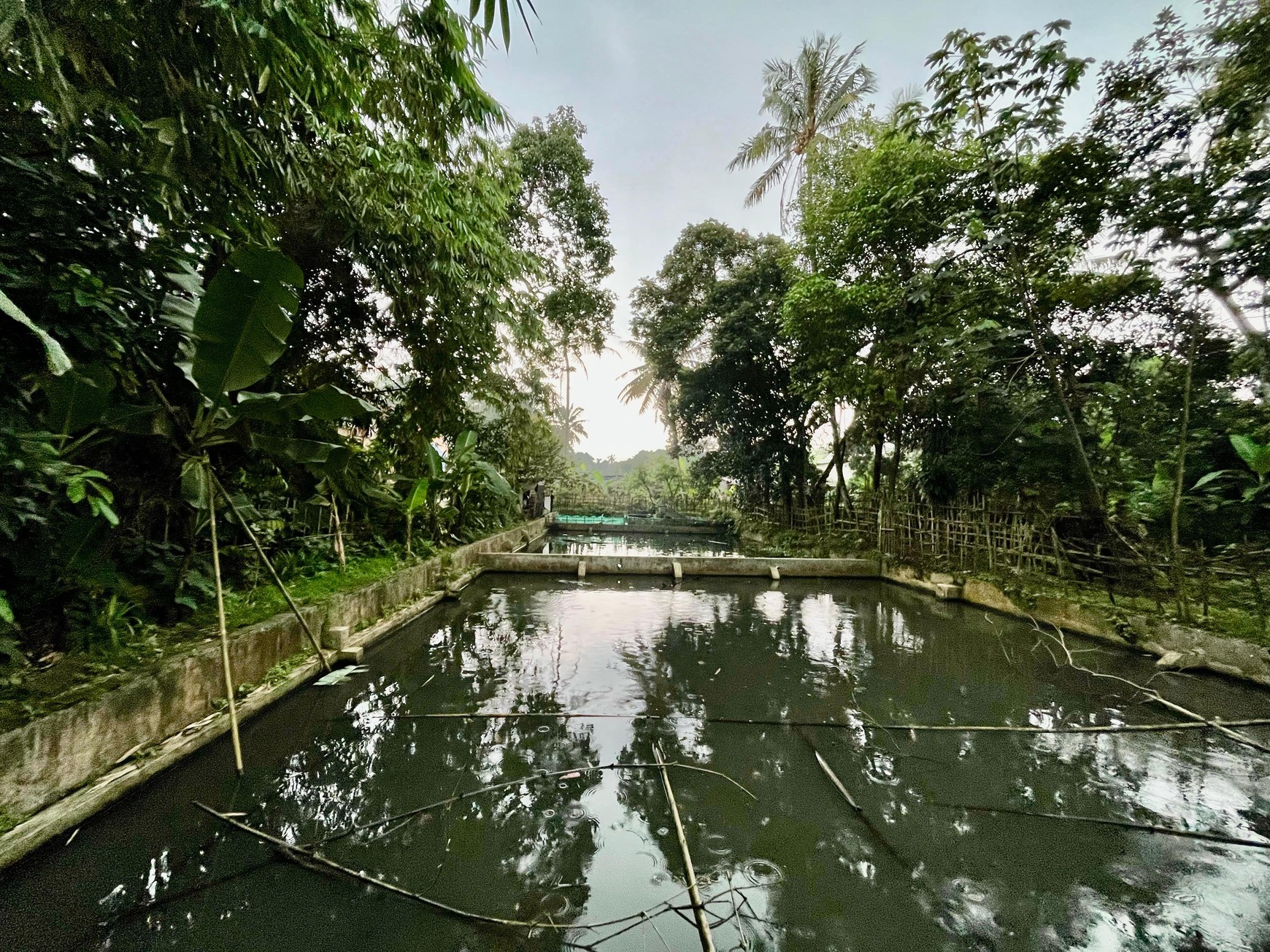 Lahan/ Kavling Lokasi di Tanah Sereal Bogor, 200 Meter dari Pintu Toll BORR dan Cocok untuk dijadikan Pemancingan
