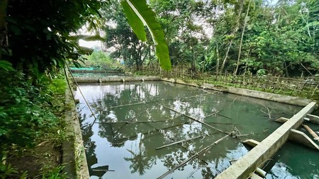 Lahan/ Kavling Lokasi di Tanah Sereal Bogor, 200 Meter dari Pintu Toll BORR dan Cocok untuk dijadikan Pemancingan