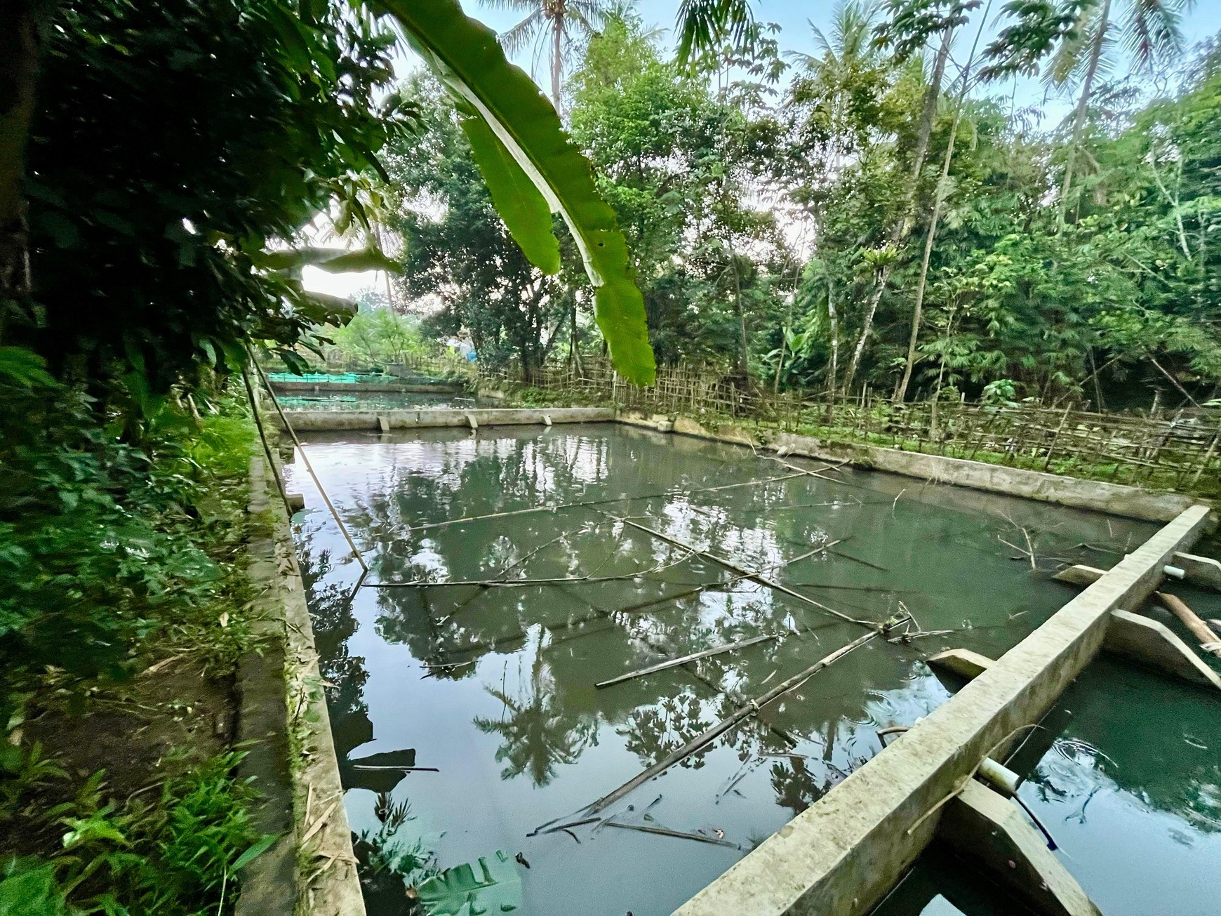 Lahan/ Kavling Lokasi di Tanah Sereal Bogor, 200 Meter dari Pintu Toll BORR dan Cocok untuk dijadikan Pemancingan