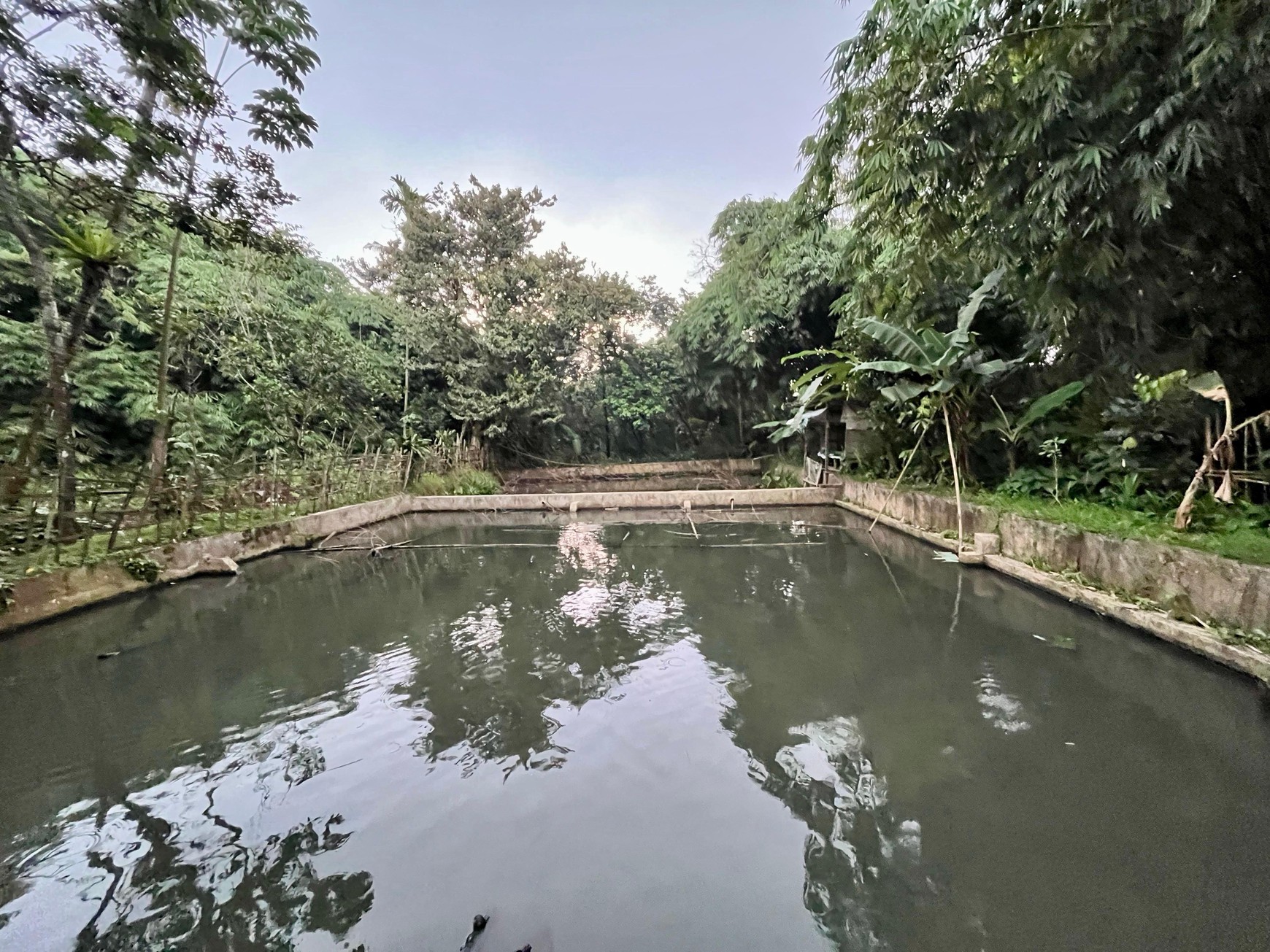 Lahan/ Kavling Lokasi di Tanah Sereal Bogor, 200 Meter dari Pintu Toll BORR dan Cocok untuk dijadikan Pemancingan