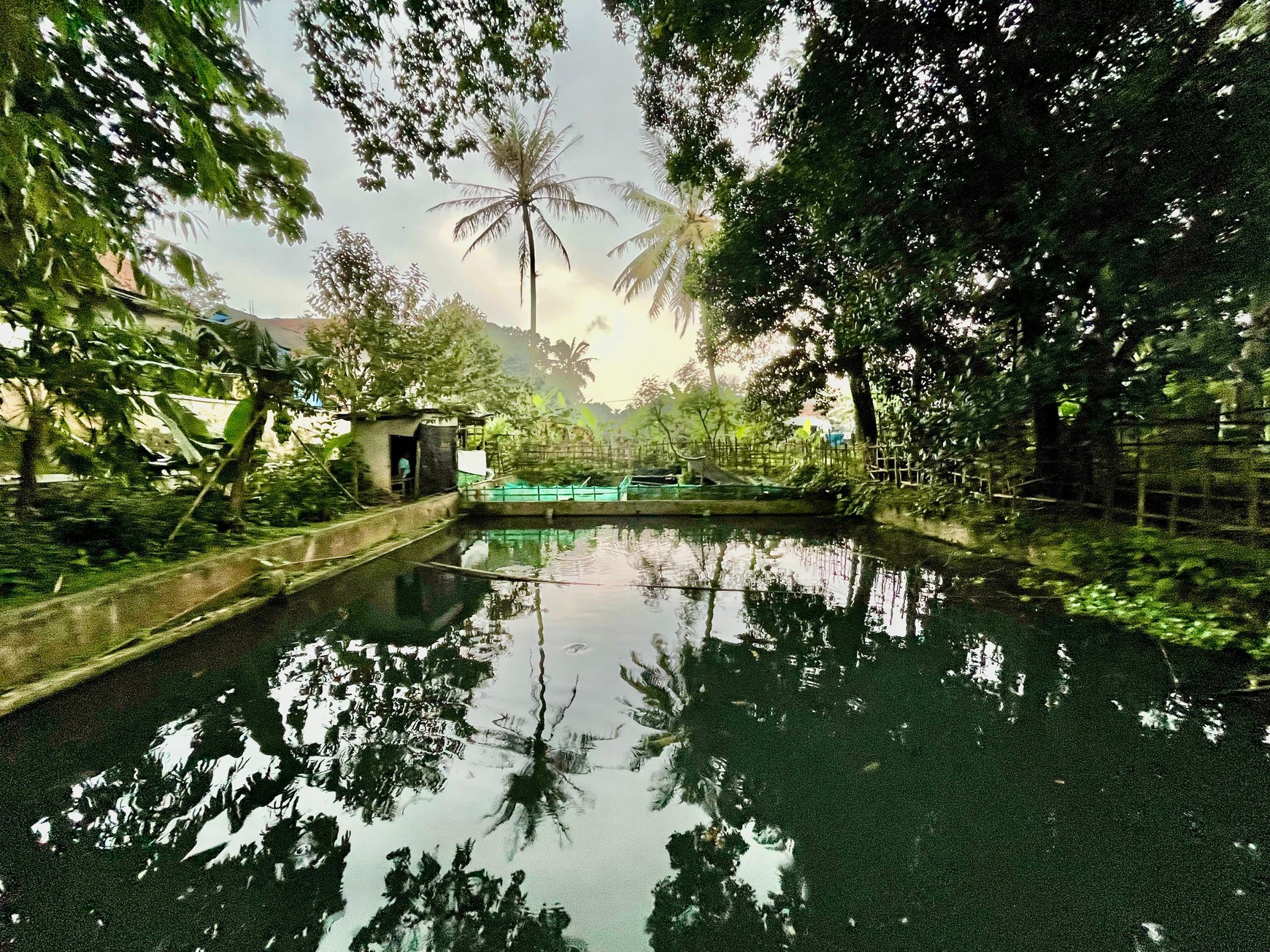 Lahan/ Kavling Lokasi di Tanah Sereal Bogor, 200 Meter dari Pintu Toll BORR dan Cocok untuk dijadikan Pemancingan