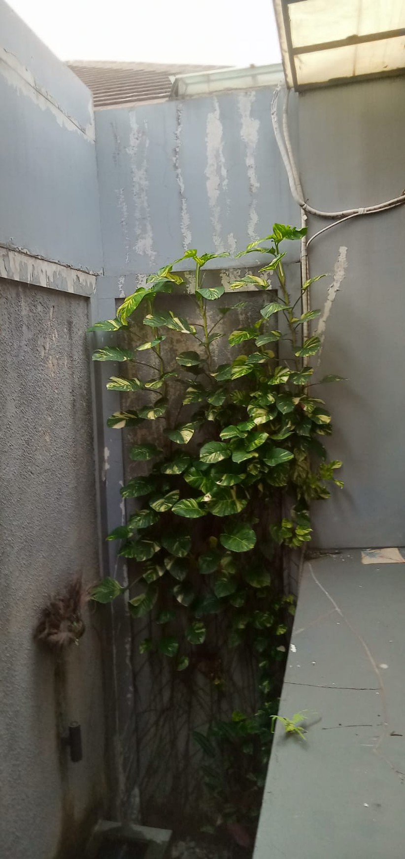 Rumah Bagus 2 Lantai Dalam CLuster SHM Siap Huni Lokasi Strategis @Bintaro -Sektor 9