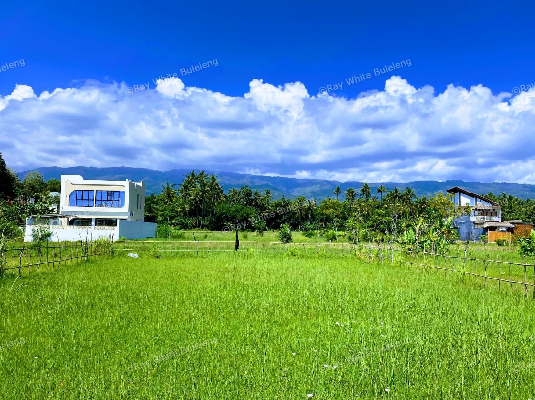 Build Your Private Paradise with Scenic Mountain & Rice Field Views in Lovina