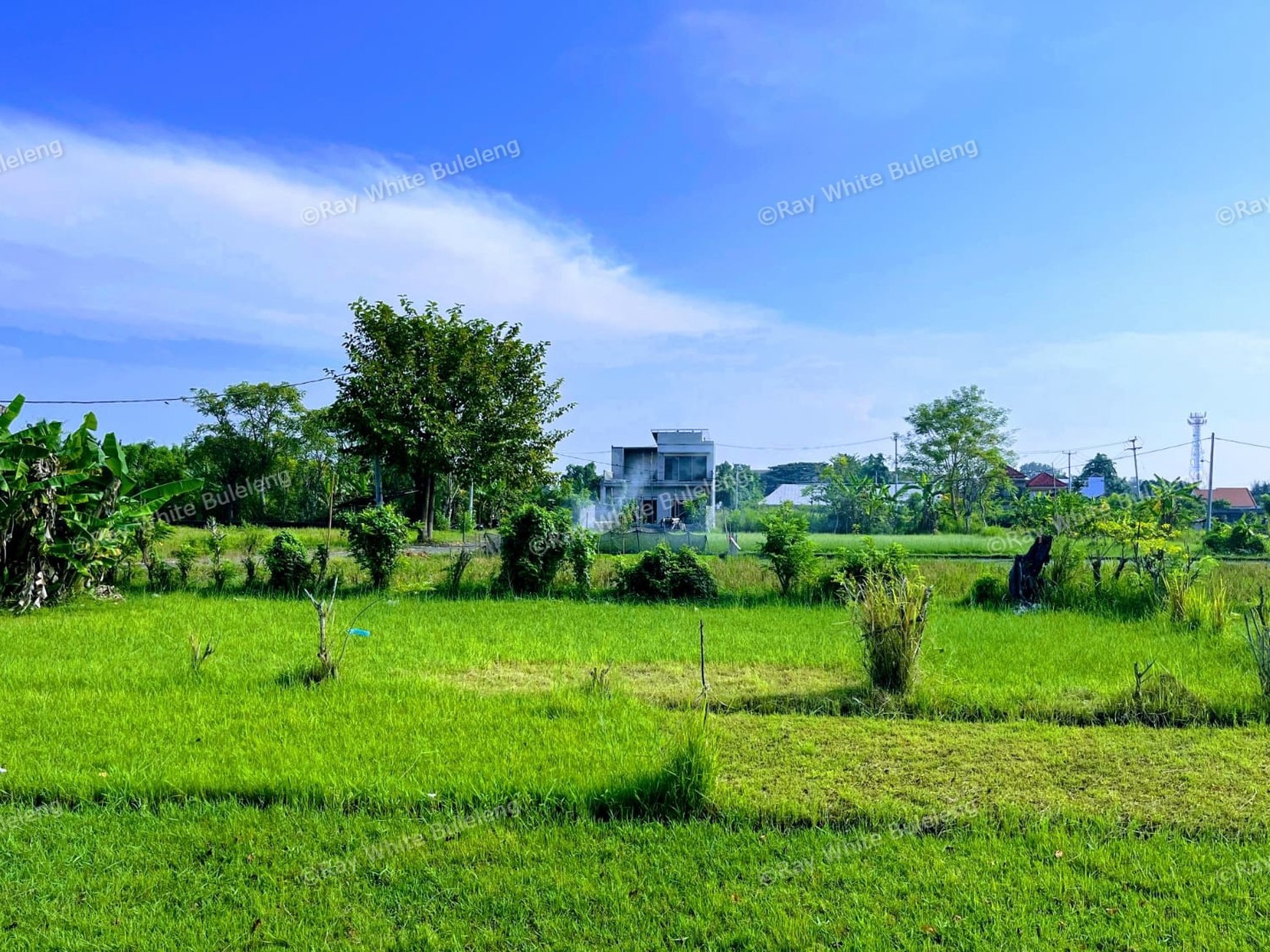 Build Your Private Paradise with Scenic Mountain & Rice Field Views in Lovina
