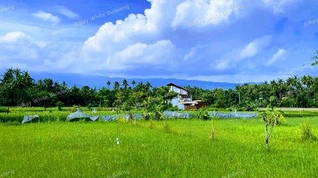 Build Your Private Paradise with Scenic Mountain & Rice Field Views in Lovina