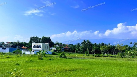 Build Your Private Paradise with Scenic Mountain & Rice Field Views in Lovina