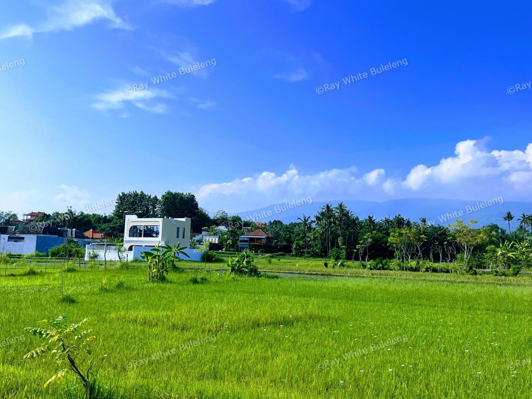 Build Your Private Paradise with Scenic Mountain & Rice Field Views in Lovina