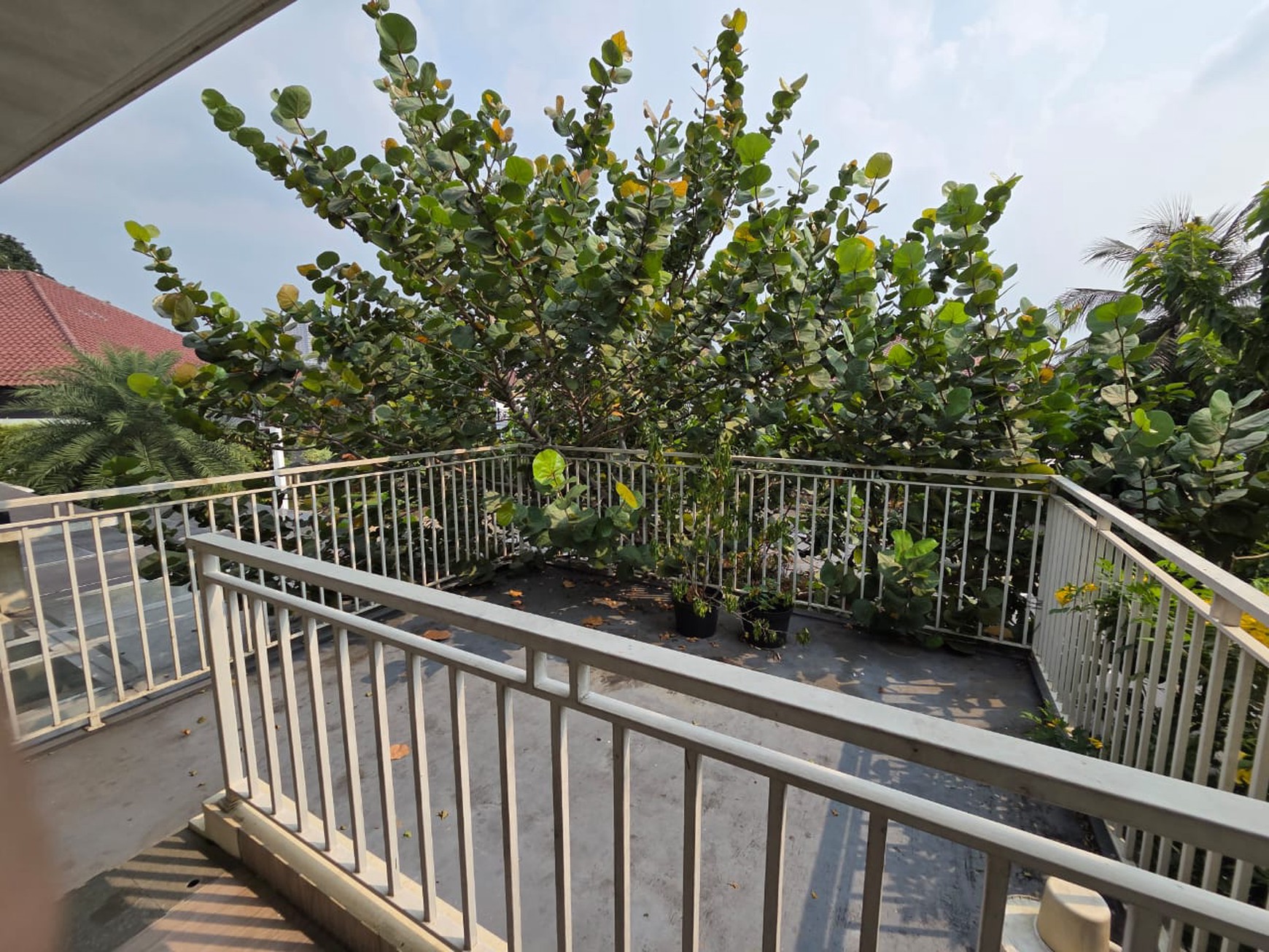 Rumah Mewah Siap Huni dengan Kolam Renang Pribadi di Bintaro Jaya