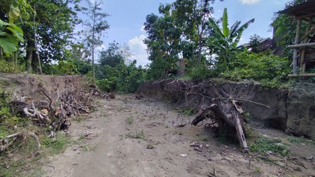 Tanah Pekarangan luas 205 Meter Persegi dekat Jalan Wonosari KM 12  